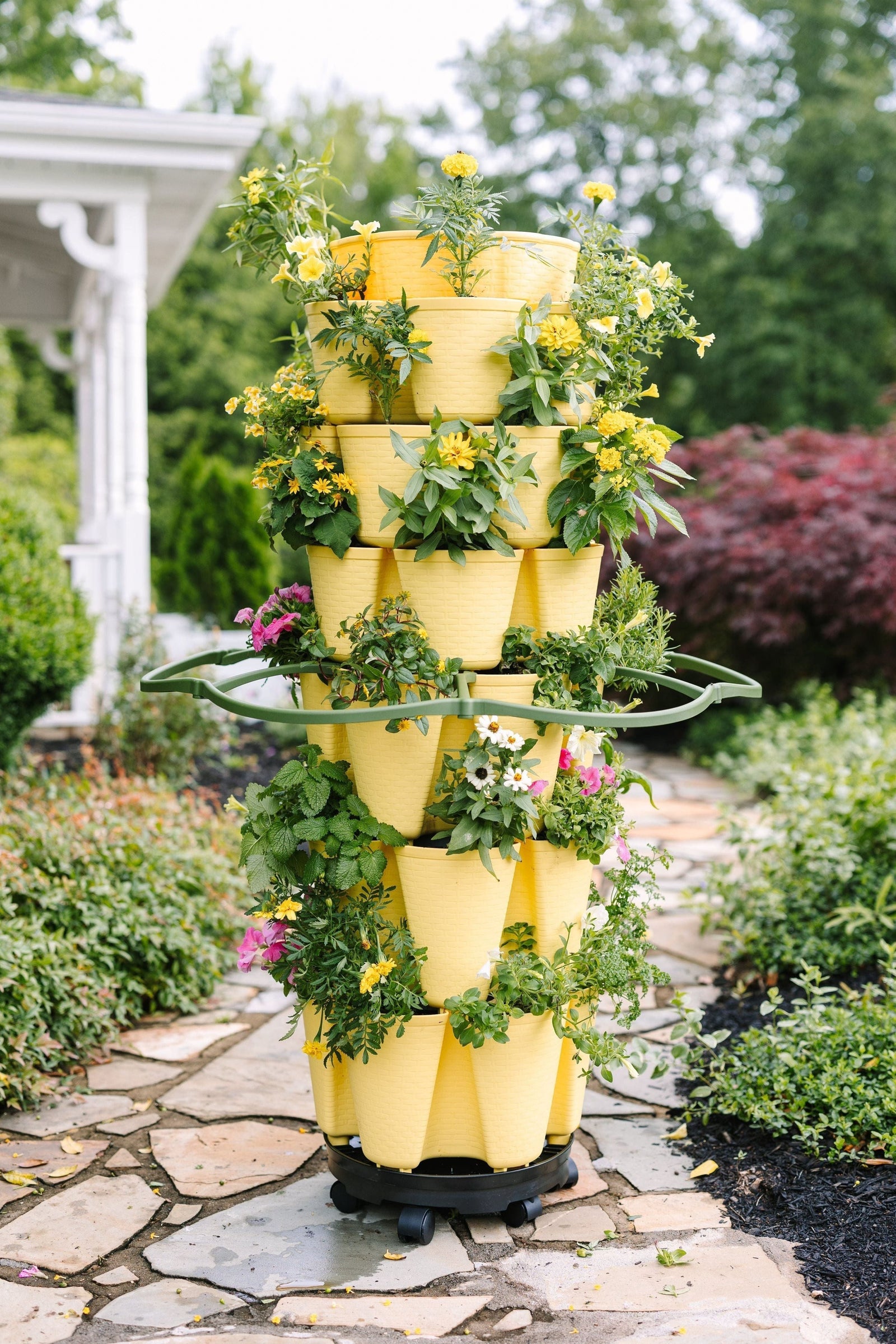 Inventor's Bundle | Lemon (Basket Weave) 