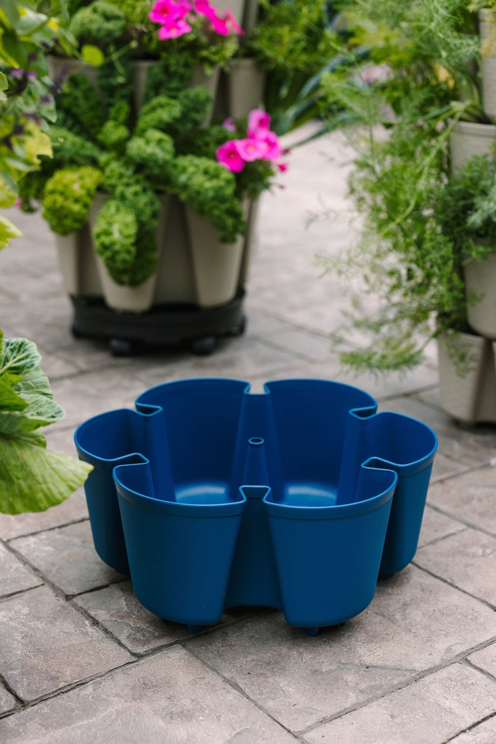 Individual Leaf Planter | Blueberry (Basic Texture) 