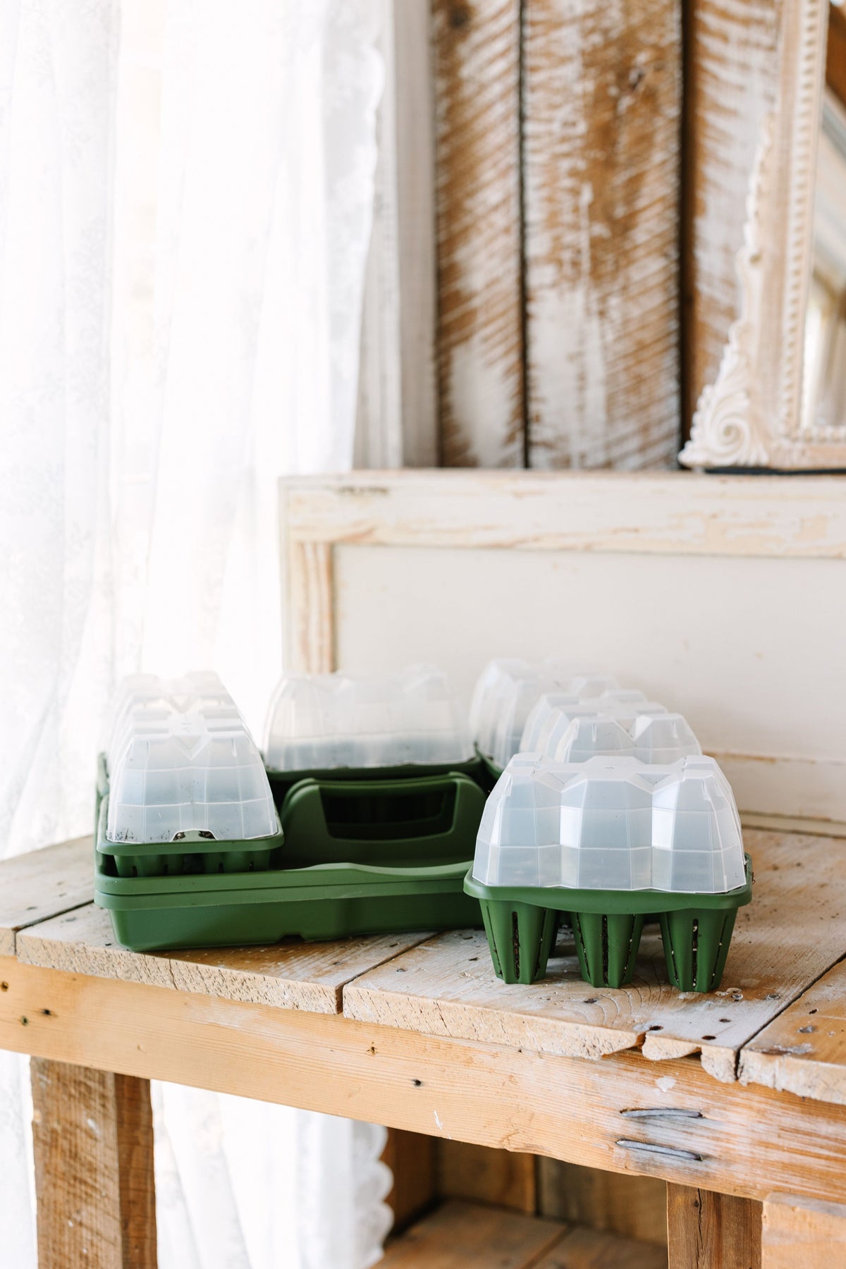 planter box seed treatment GreenStalk Seed Starter Kit with Domes | Evergreen