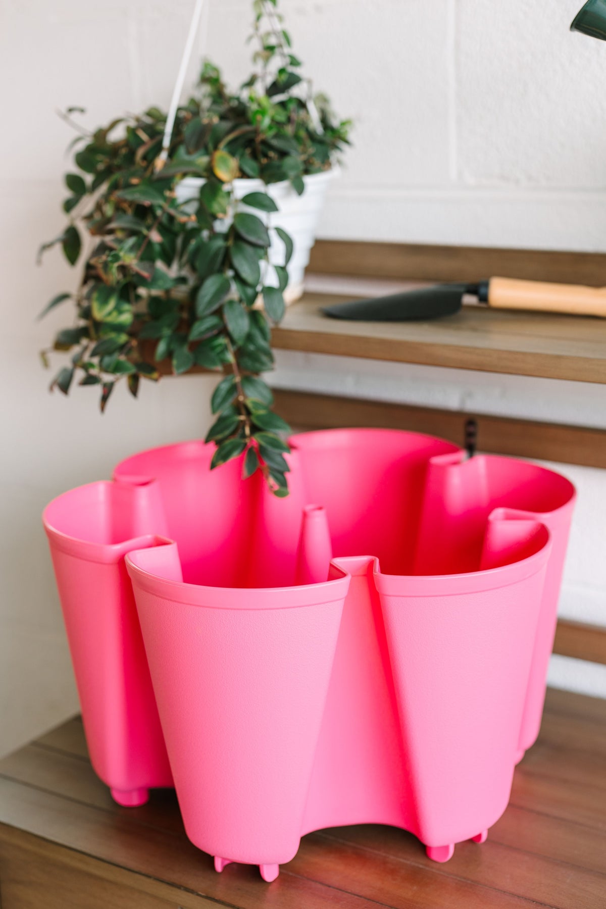 Individual Original Planter | Strawberry Pink (Basic Texture)