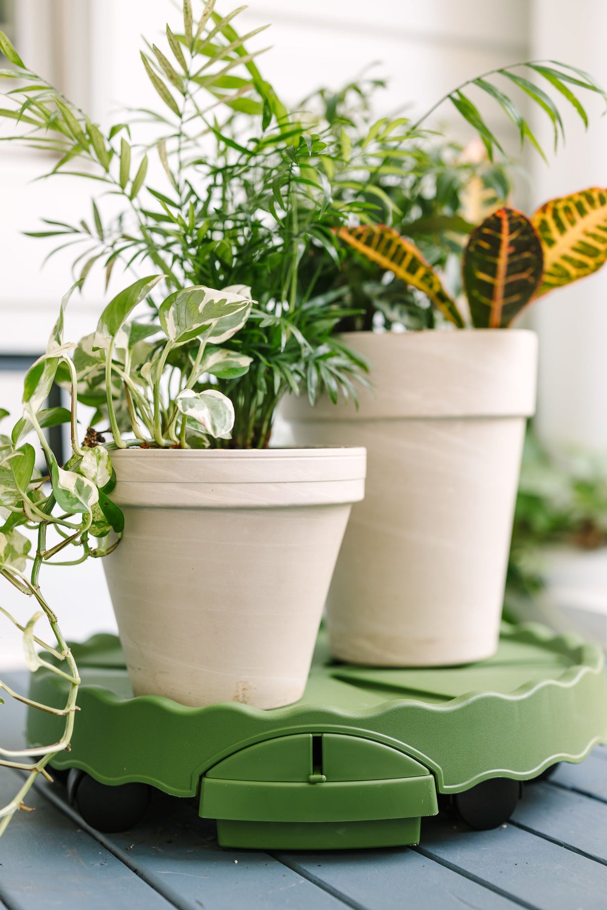 GreenStalk Ultimate Mover | Evergreen 