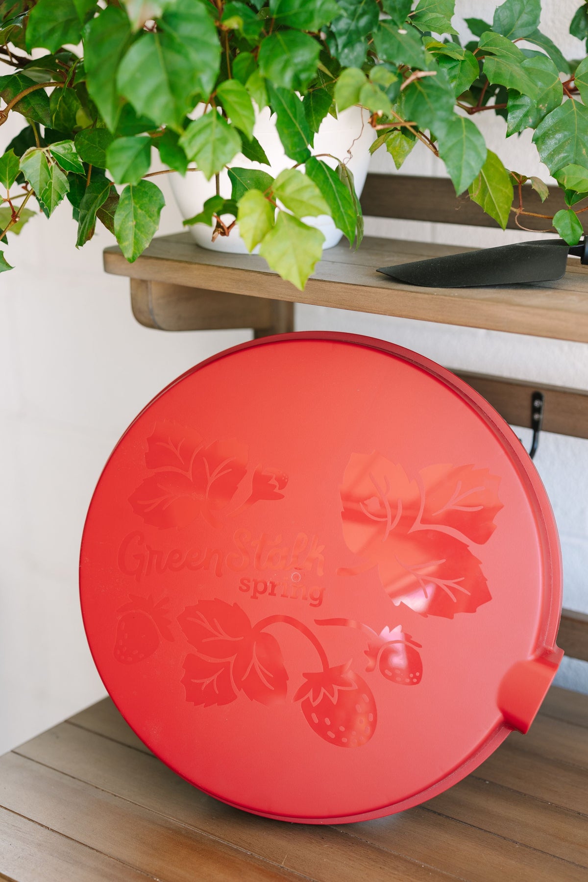 GreenStalk Spring Lid | Tomato 