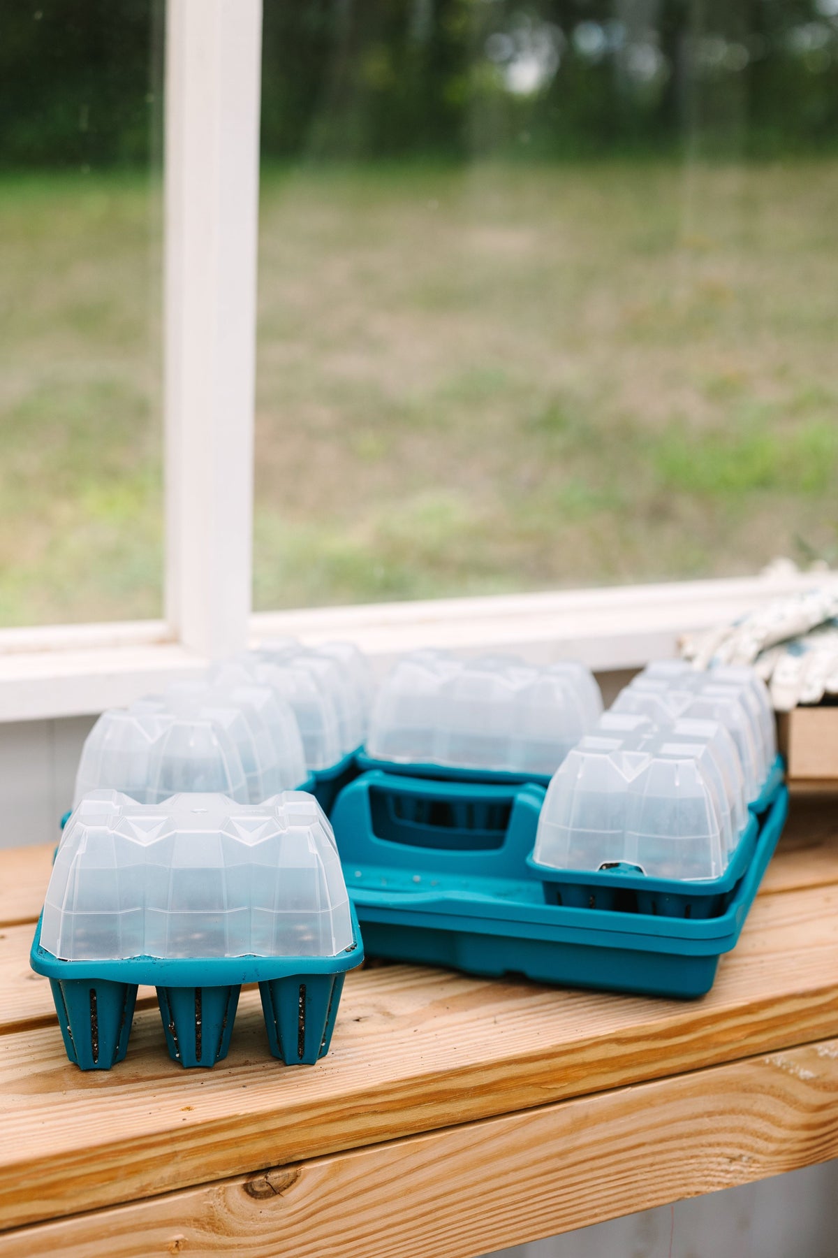 GreenStalk Seed Starter Kit with Domes | Dragonfly 