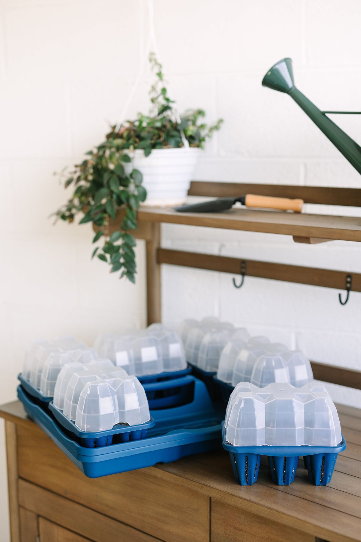 GreenStalk Seed Starter Kit with Domes | Blueberry 