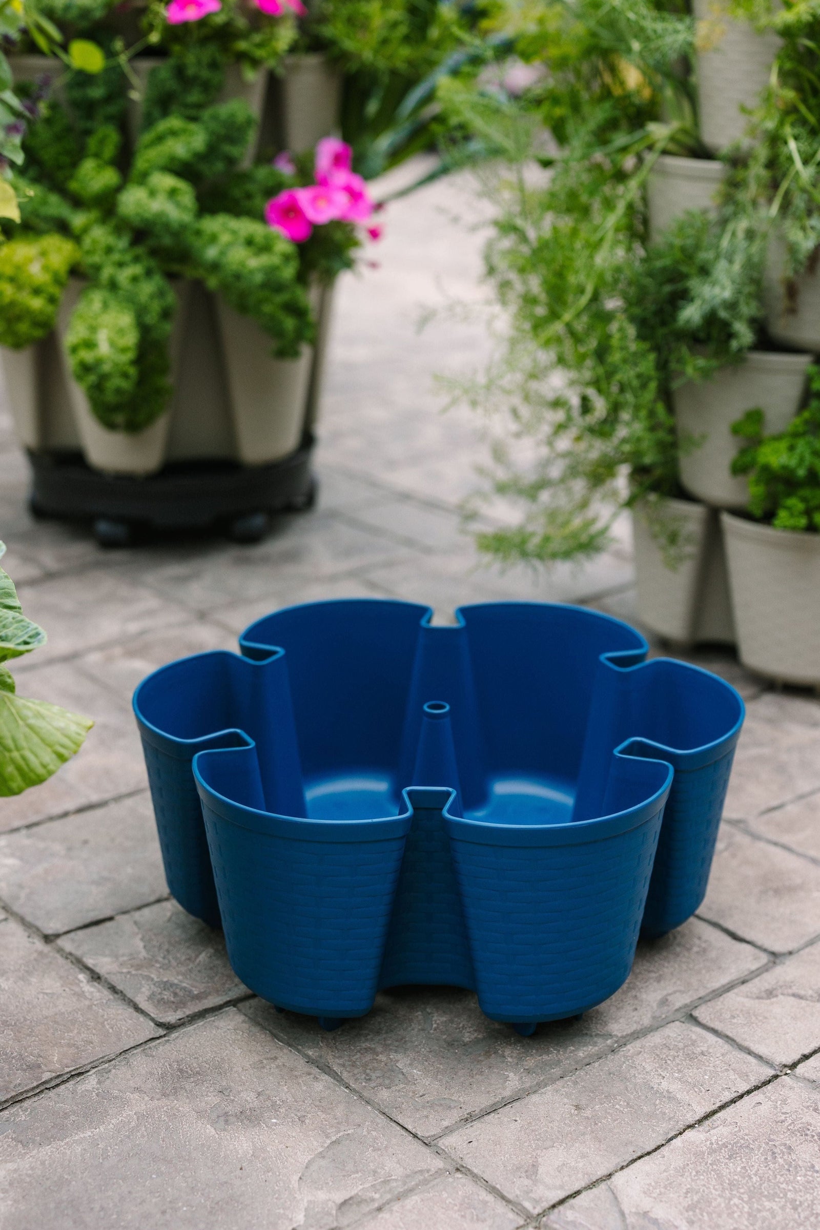 Individual Leaf Planter | Blueberry (Basket Weave Texture) 