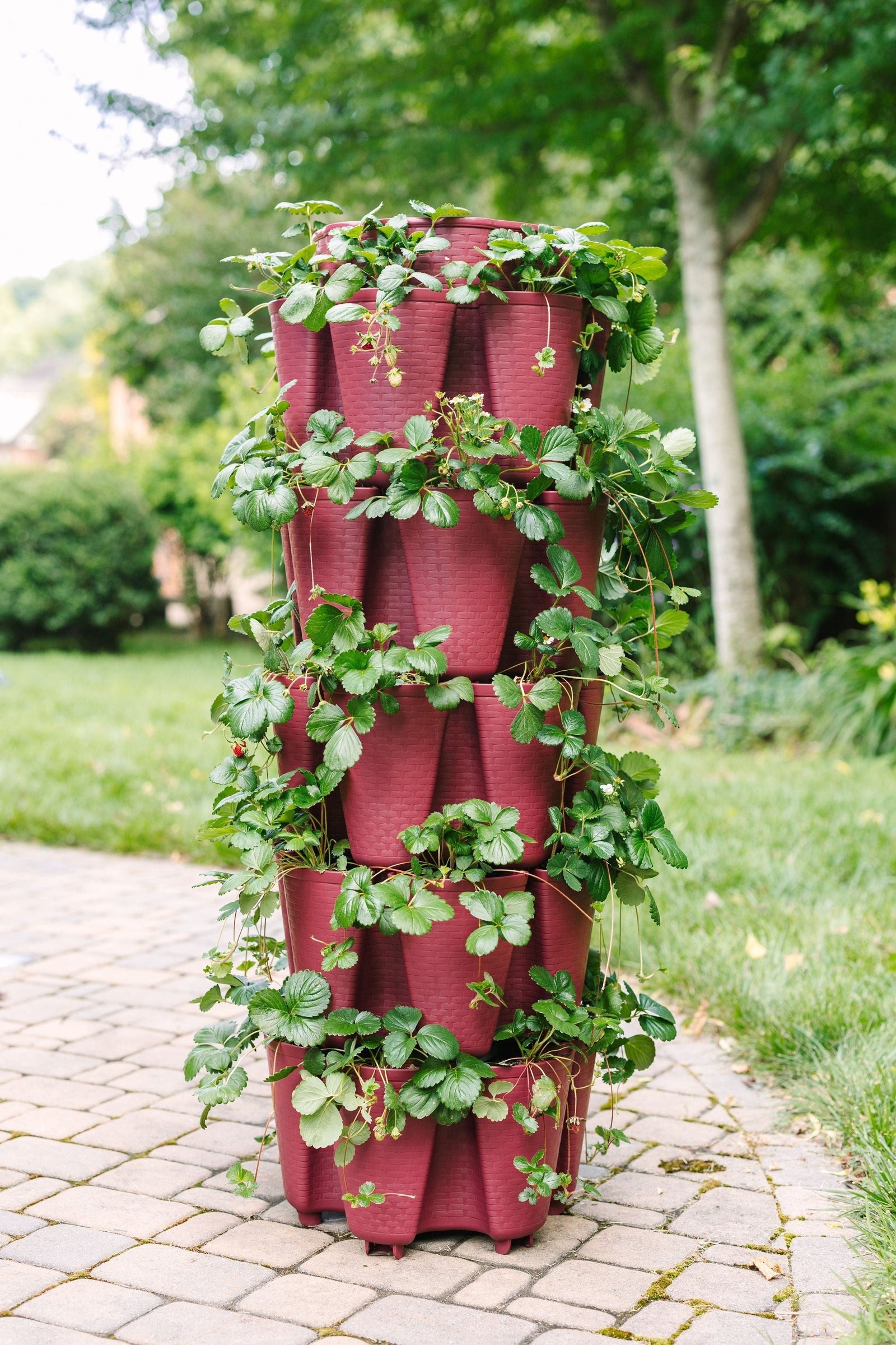 5 Tier GreenStalk Original Vertical Planter | Rusted Garden Red (Basket Weave Texture) 