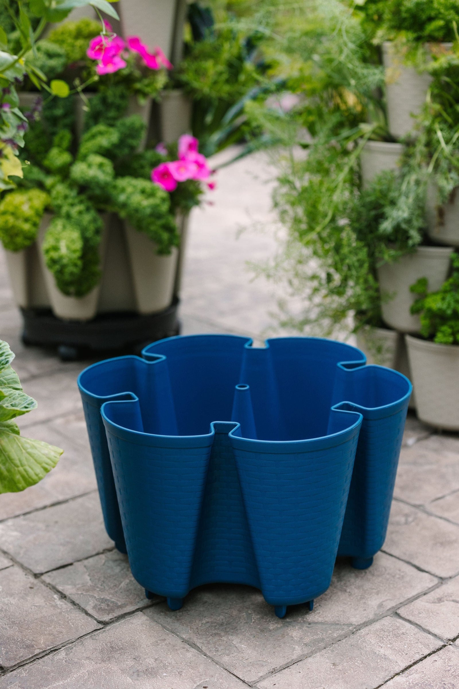 Individual Original Planter | Blueberry (Basket Weave Texture) 