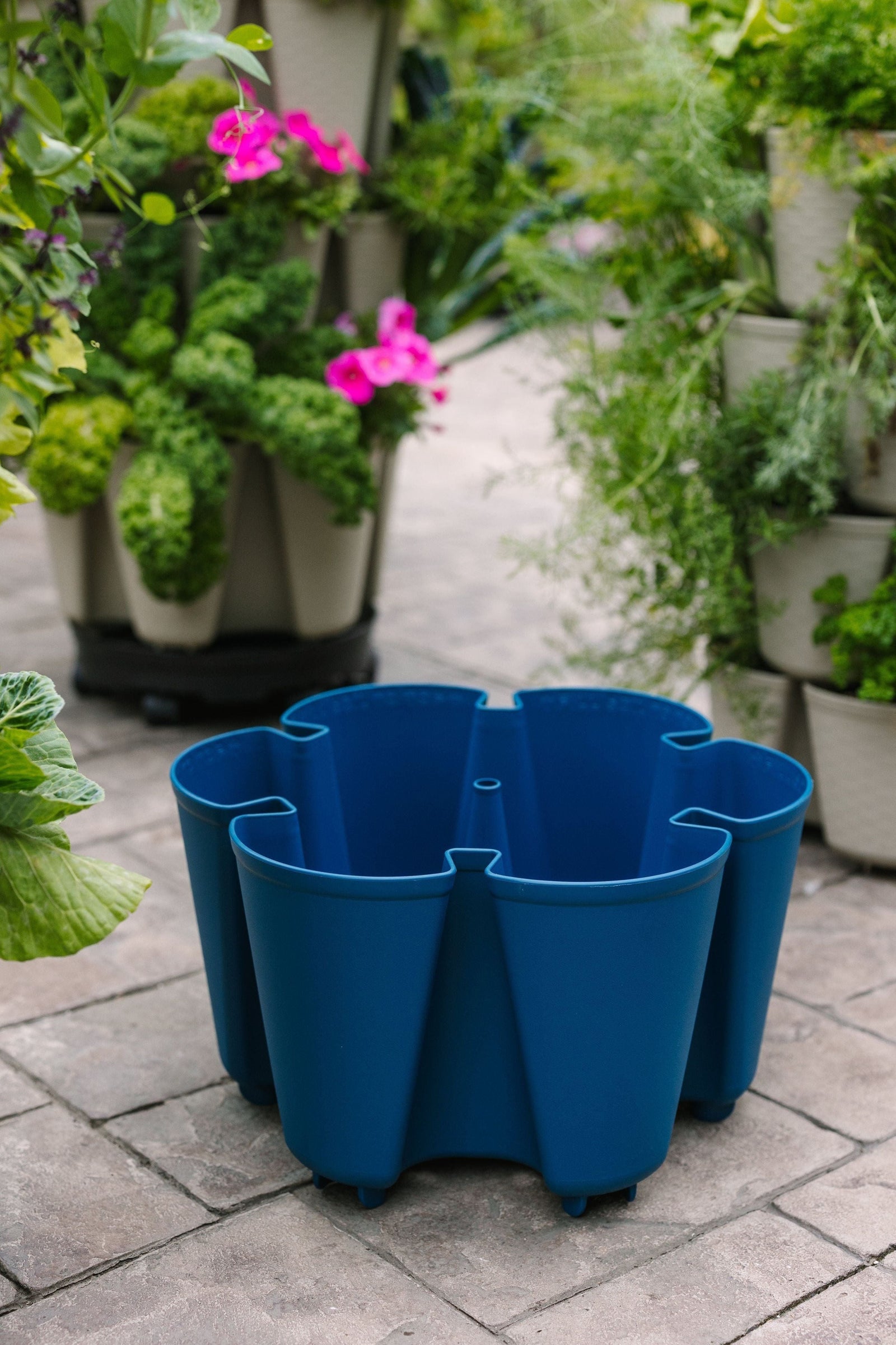 Individual Original Planter | Blueberry (Basic Texture) 