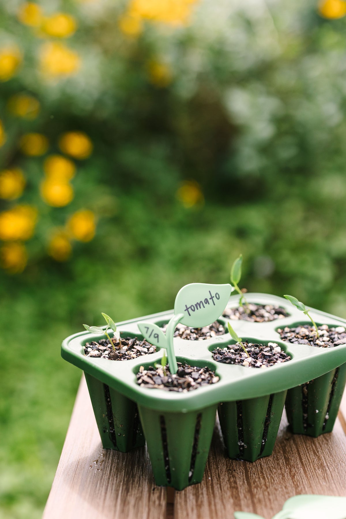 Reusable Sprout Marker - Set of 32 