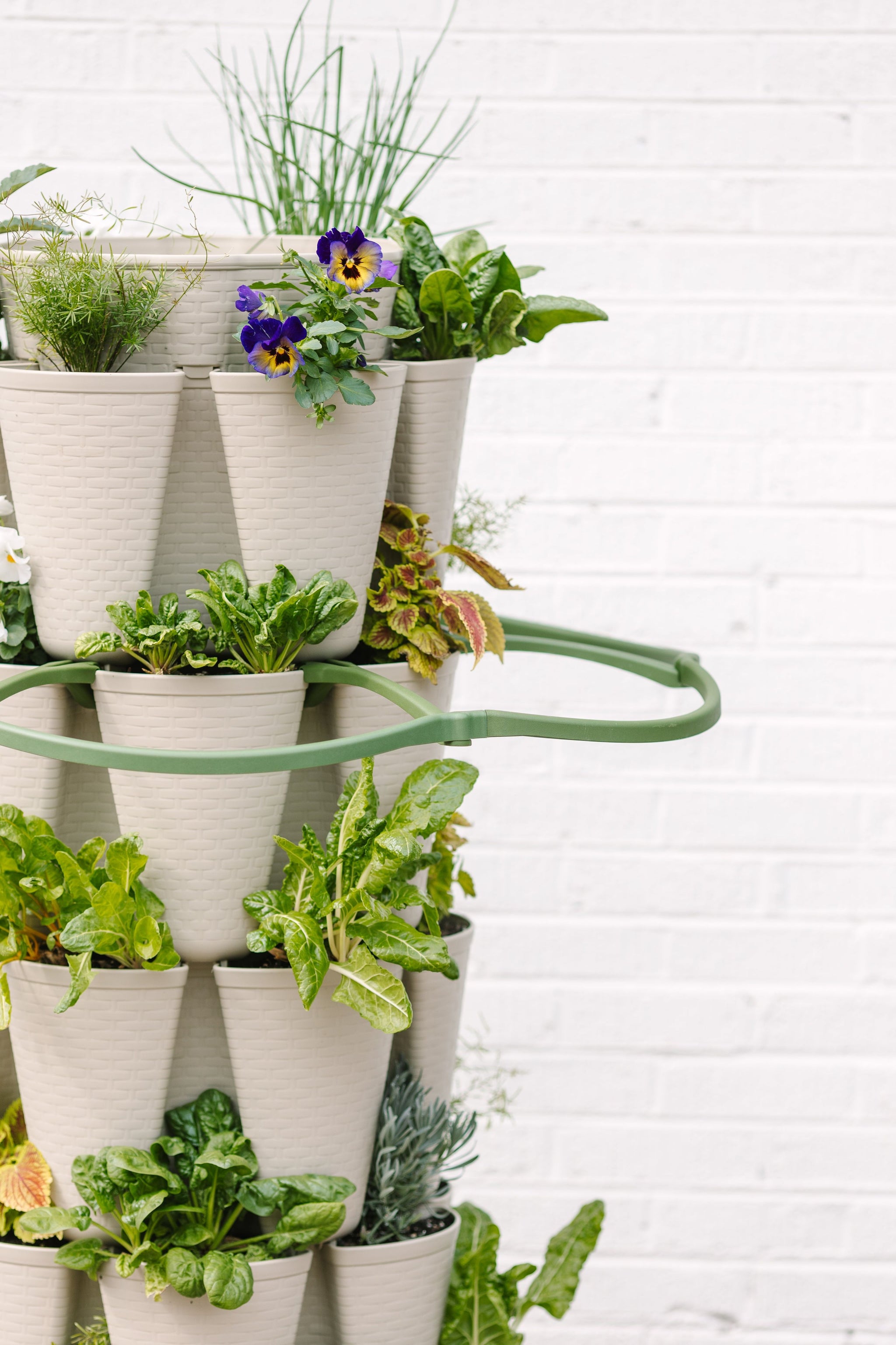 potted plant stabilizer GreenStalk Plant Support