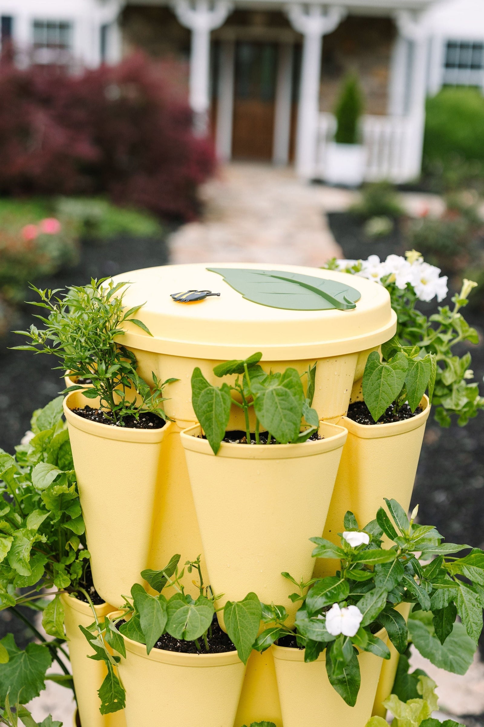 GreenStalk Garden Lid | Lemon 