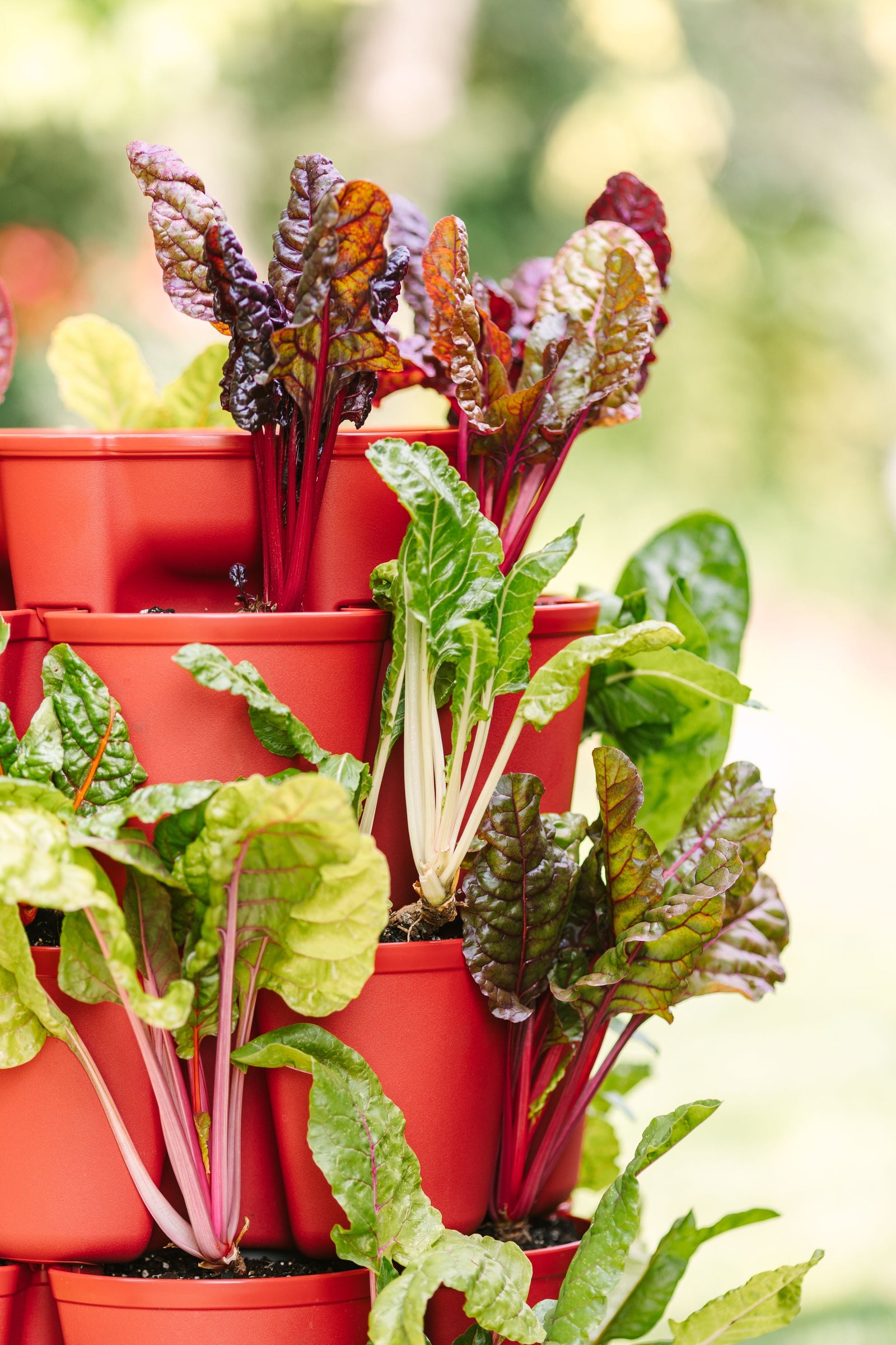 7 Tier GreenStalk Leaf Vertical Planter | Tomato (Basic Texture) 