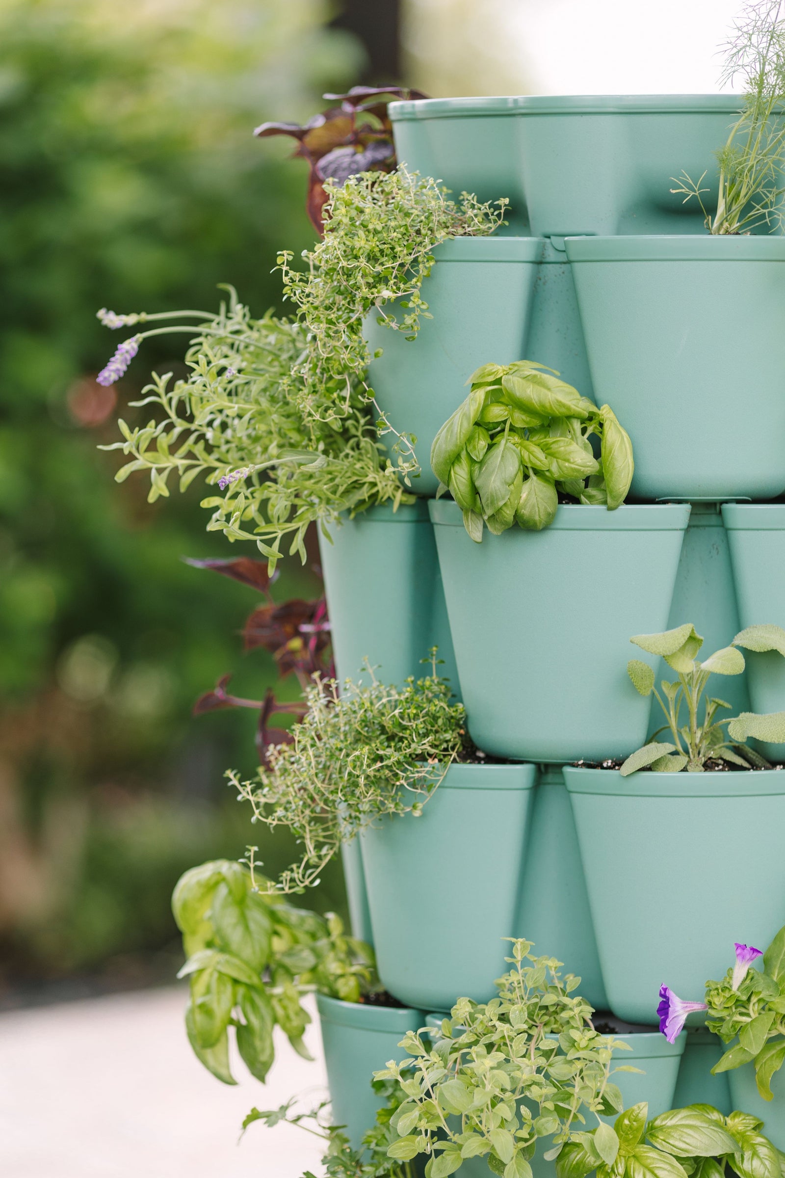 5 Tier GreenStalk Leaf Vertical Planter | Sage (Basic Texture) 