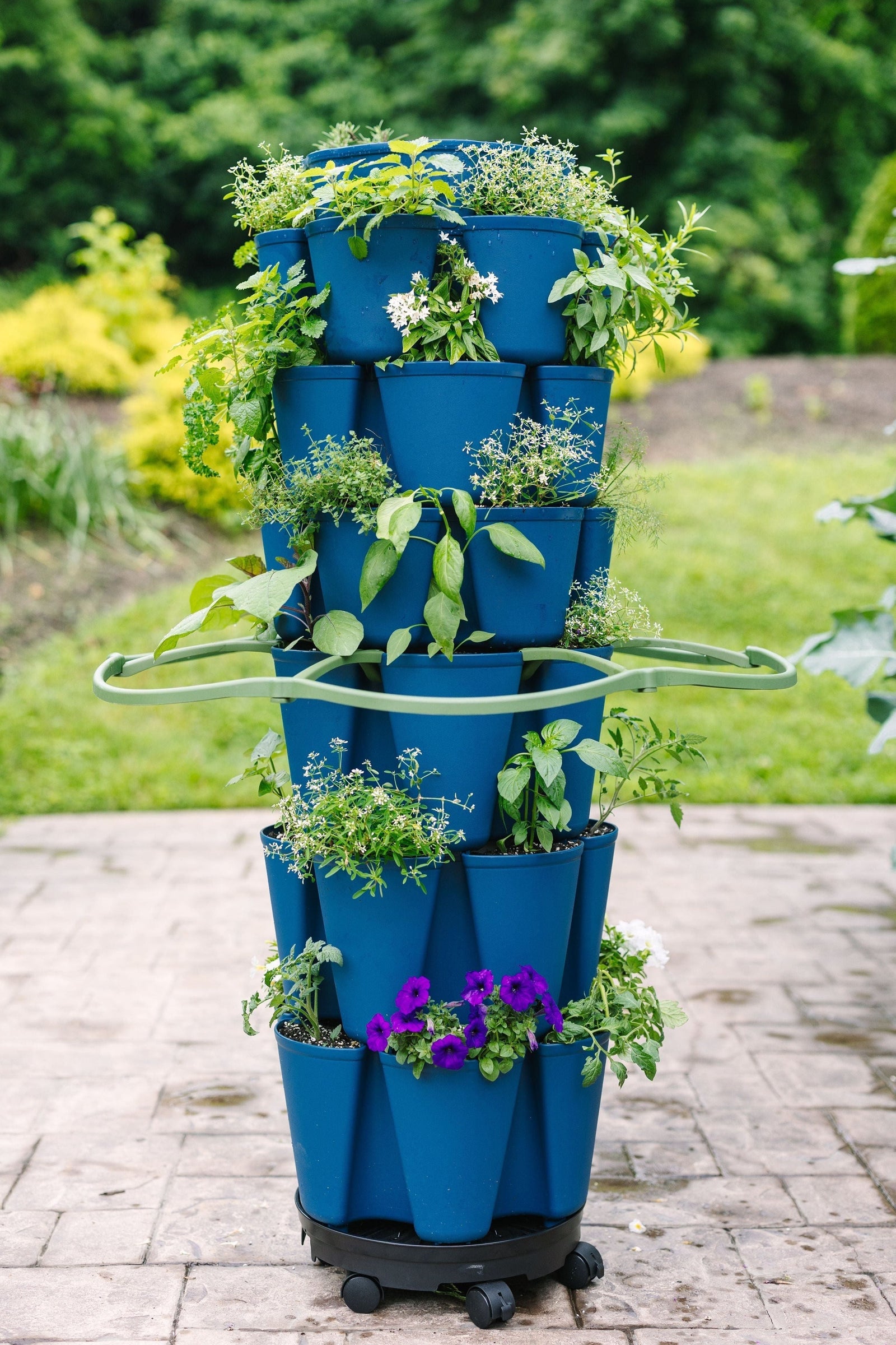 Inventor's Bundle | Blueberry (Basic Texture) 