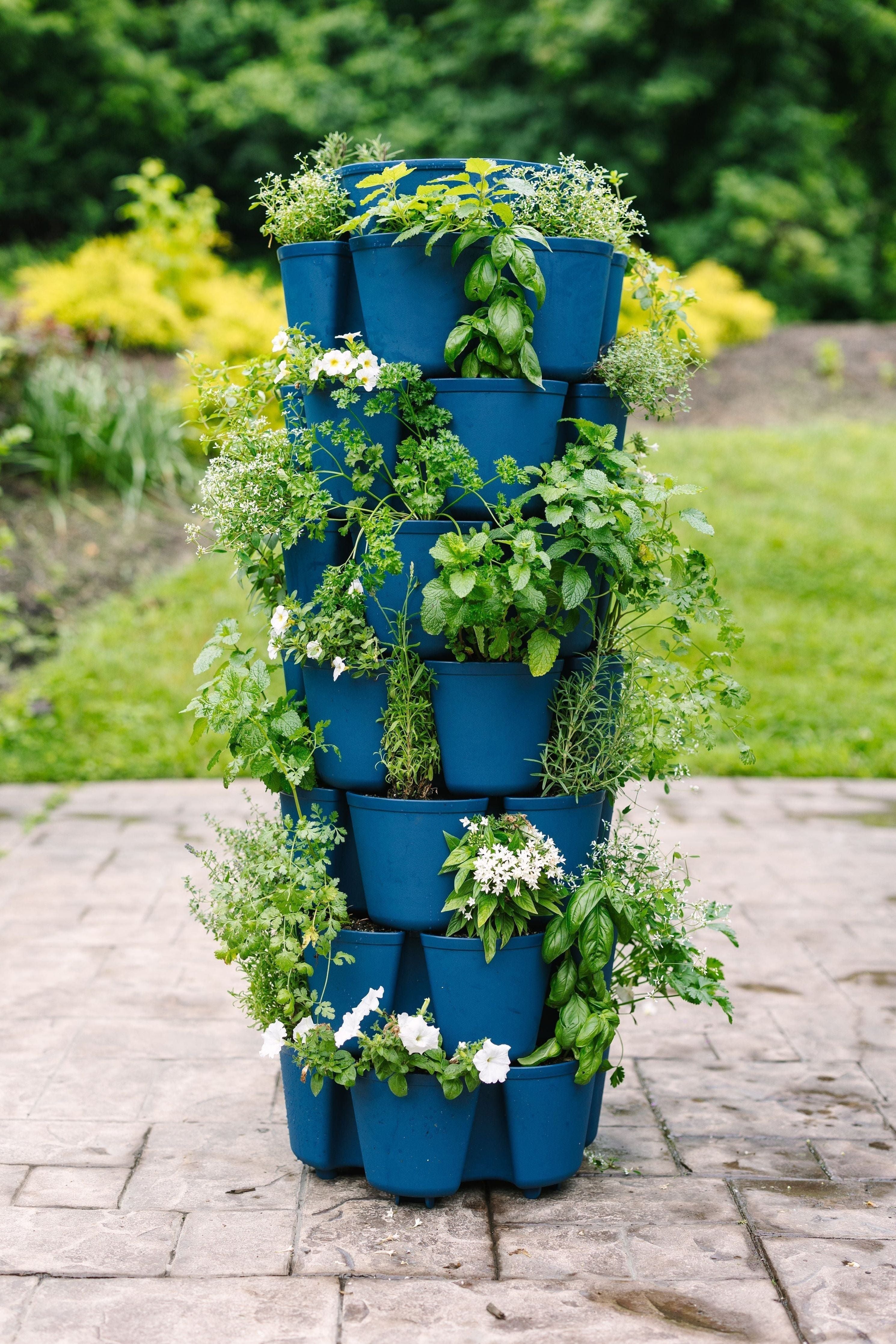 GreenStalk Vertical Planter
