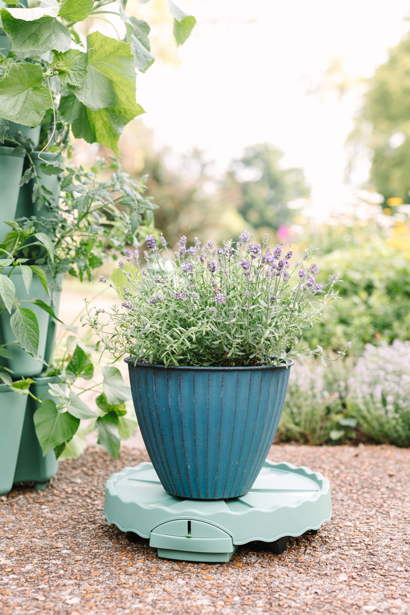 GreenStalk Ultimate Mover | Sage 
