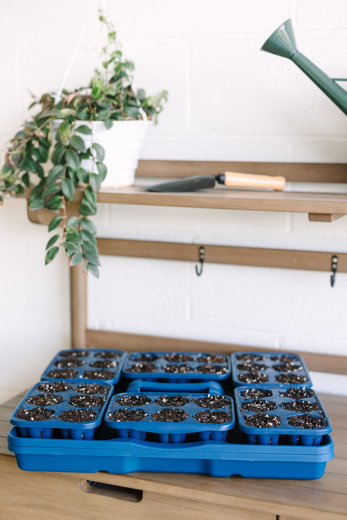 GreenStalk Seed Starter Kit with Domes | Blueberry 