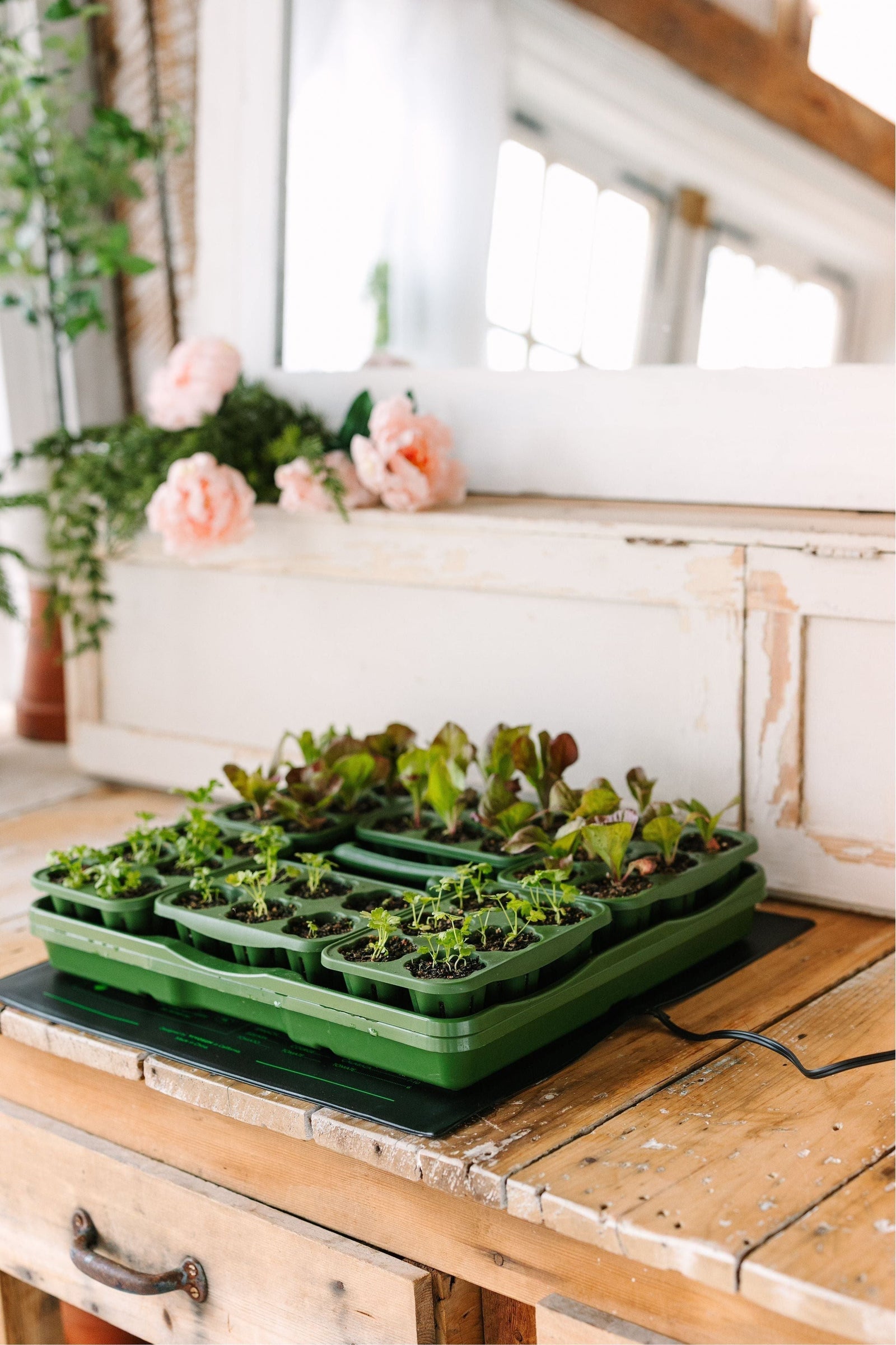 Heat Mat for Seed Starter Kits 