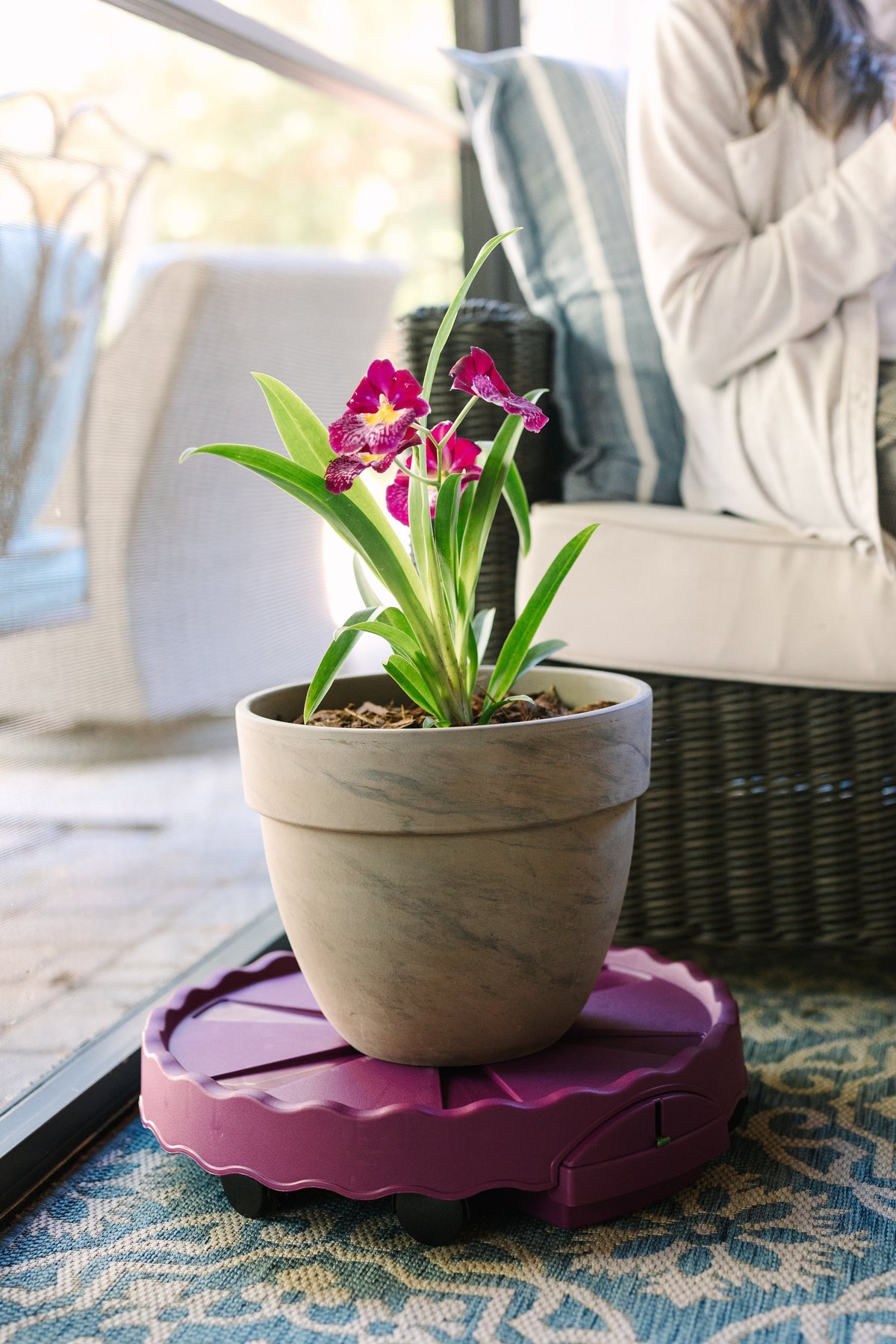 GreenStalk Ultimate Mover | Razzleberry 