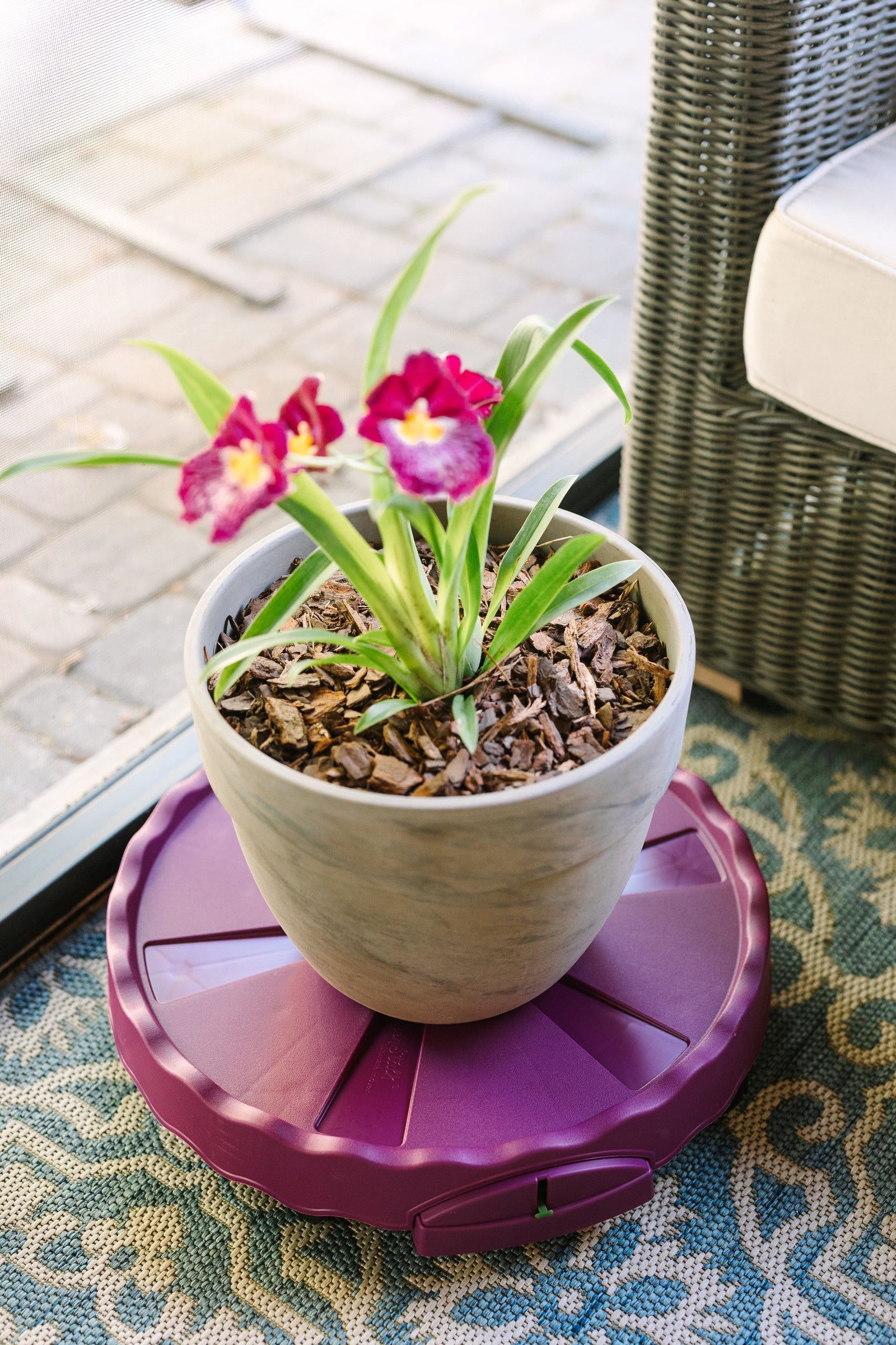 GreenStalk Ultimate Mover | Razzleberry 