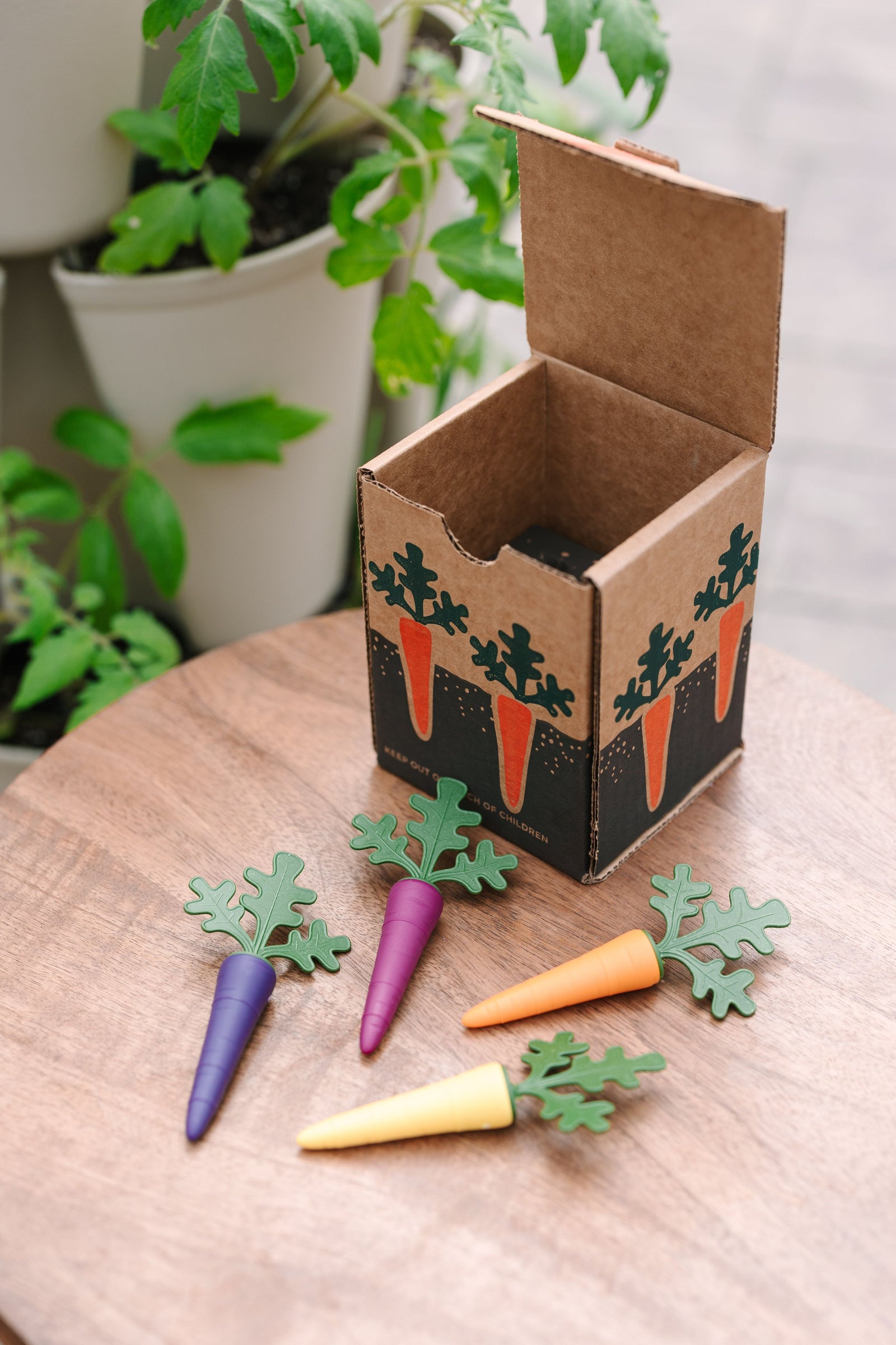 GreenStalk Carrot Cap - Set of 4 