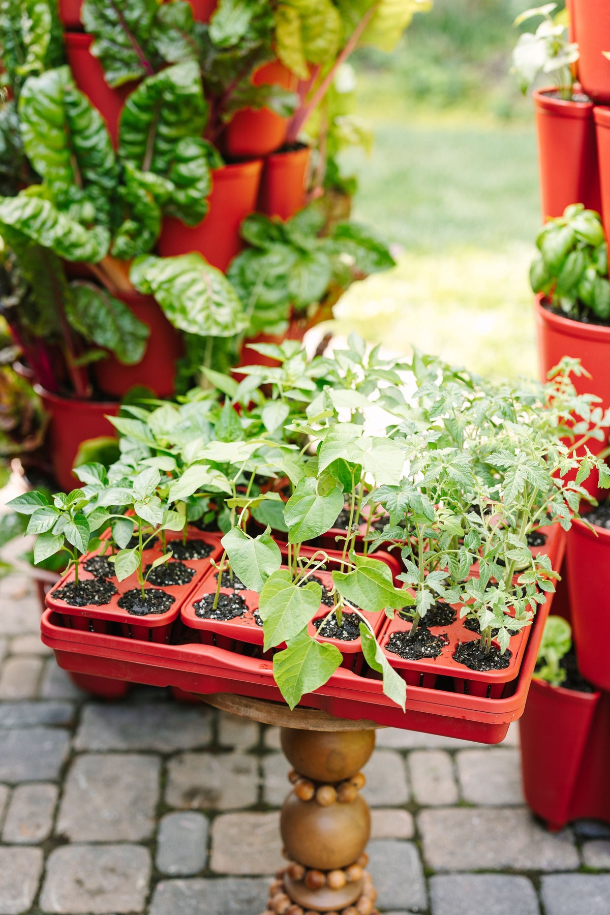 GreenStalk Seed Starter Kit with Domes | Tomato 