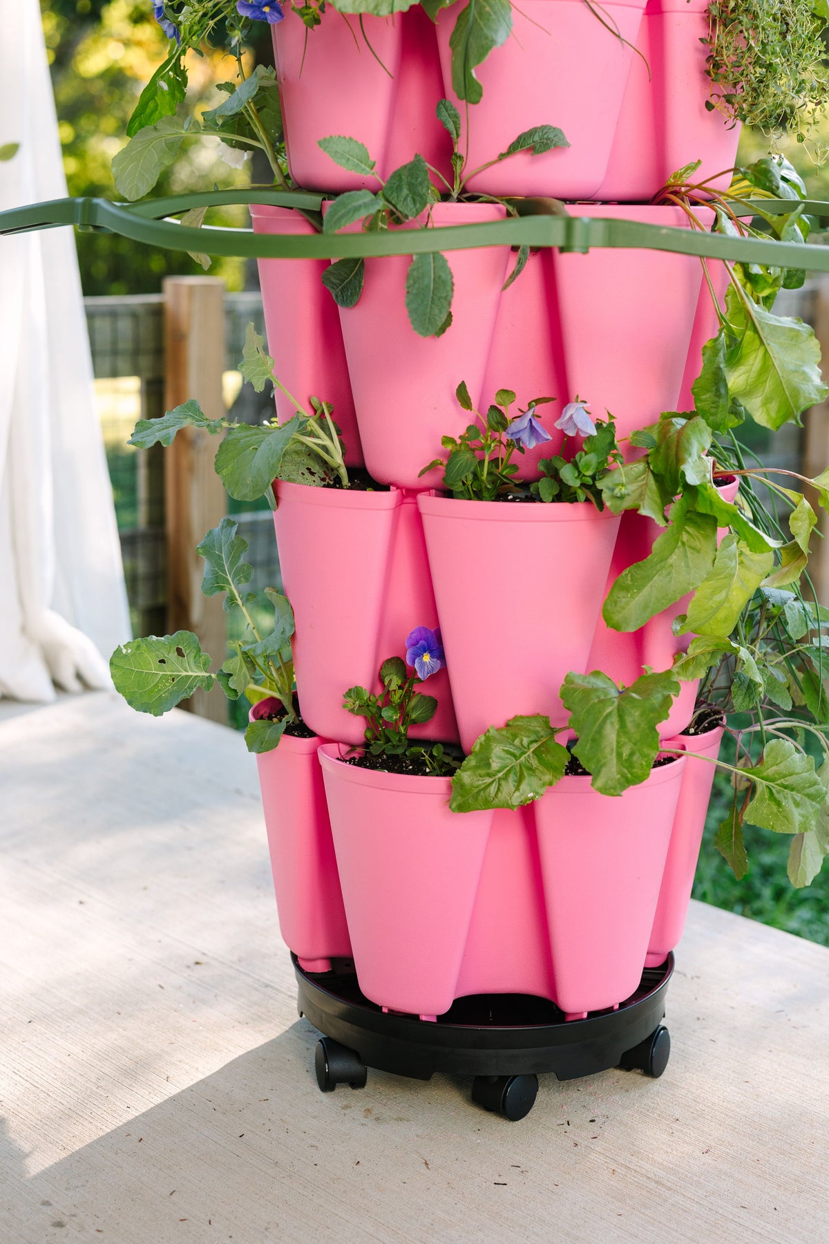 Inventor's Bundle | Strawberry Pink (Basic Texture)