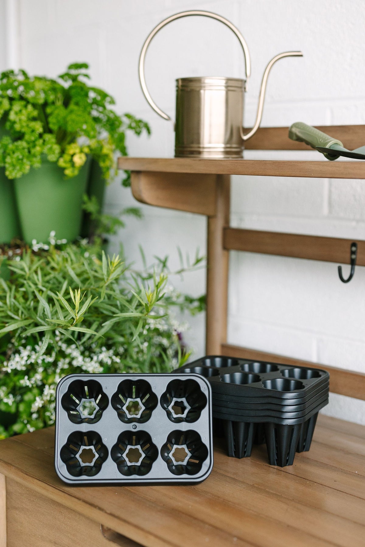 GreenStalk Seed Starter Kit | Beautiful Black | PREORDER 