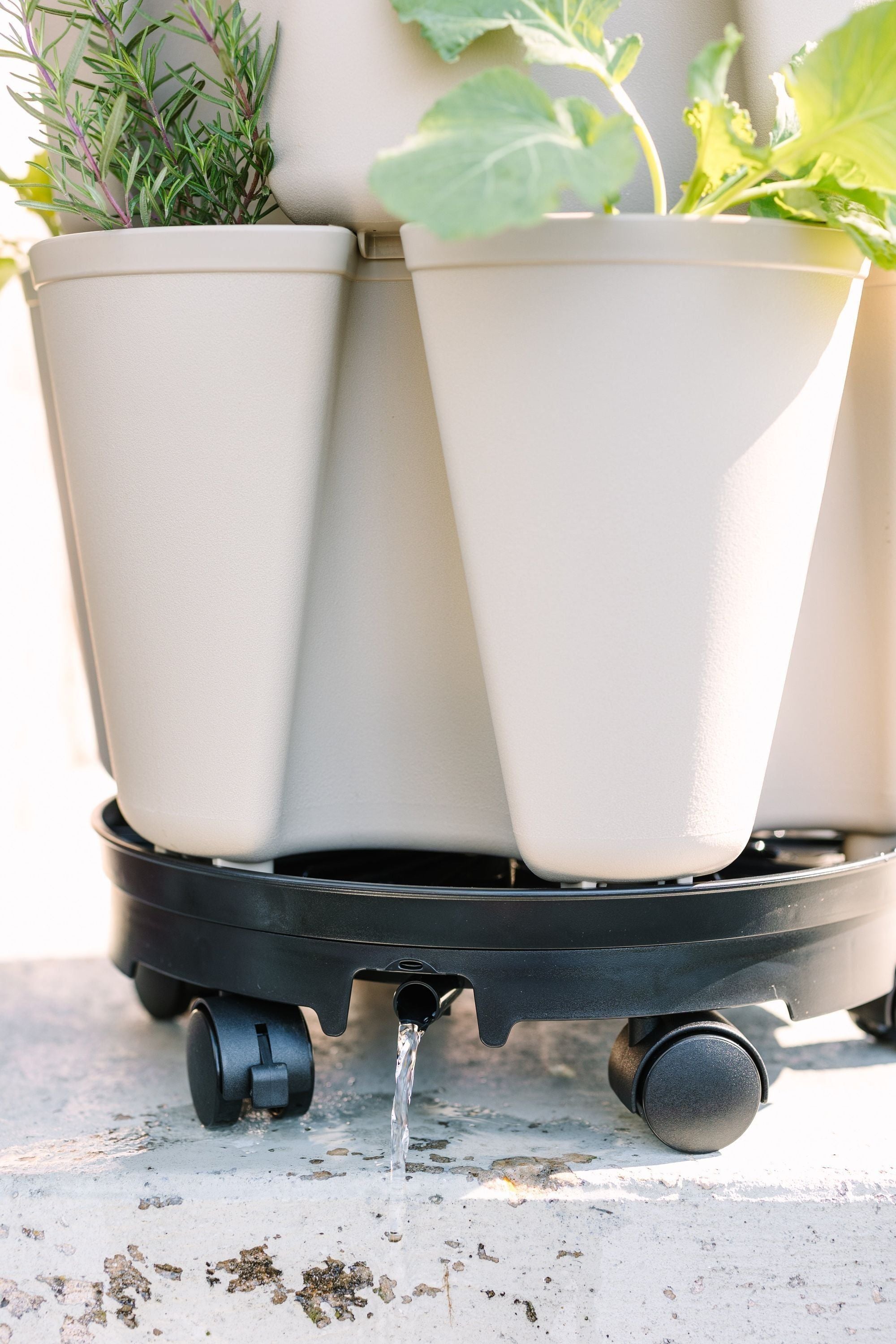 pot plant wheelbase GreenStalk Ultimate Spinner With Wheel Kit