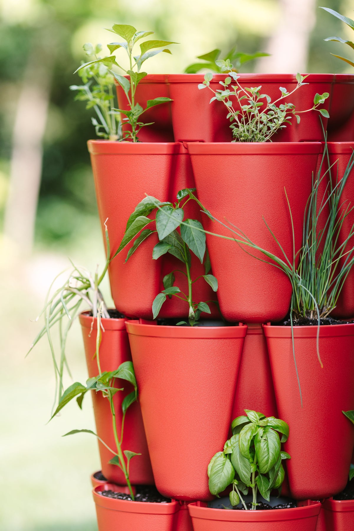 5 Tier GreenStalk Original Vertical Planter | Tomato (Basic Texture) 
