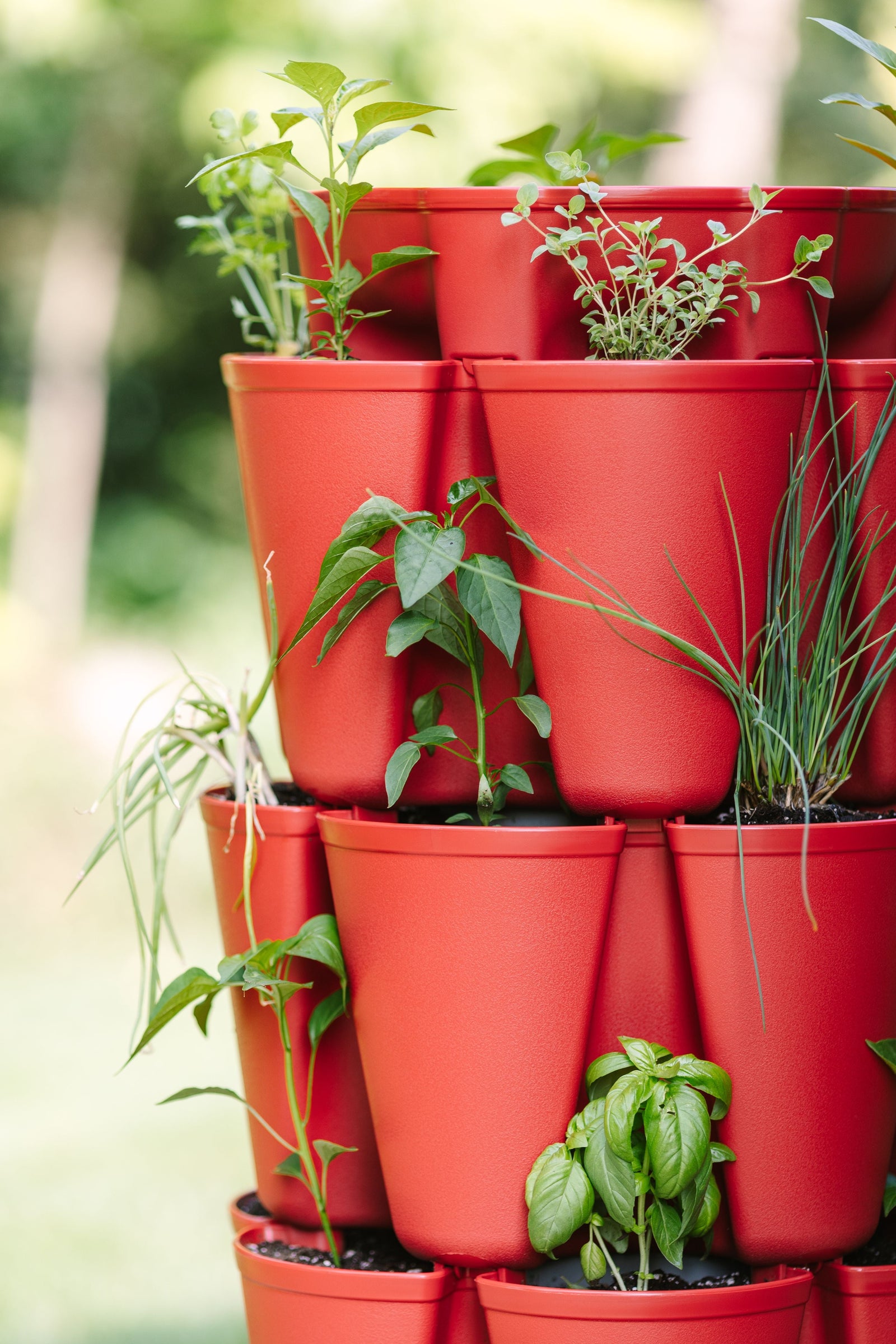 5 Tier GreenStalk Original Vertical Planter | Tomato (Basic Texture) 