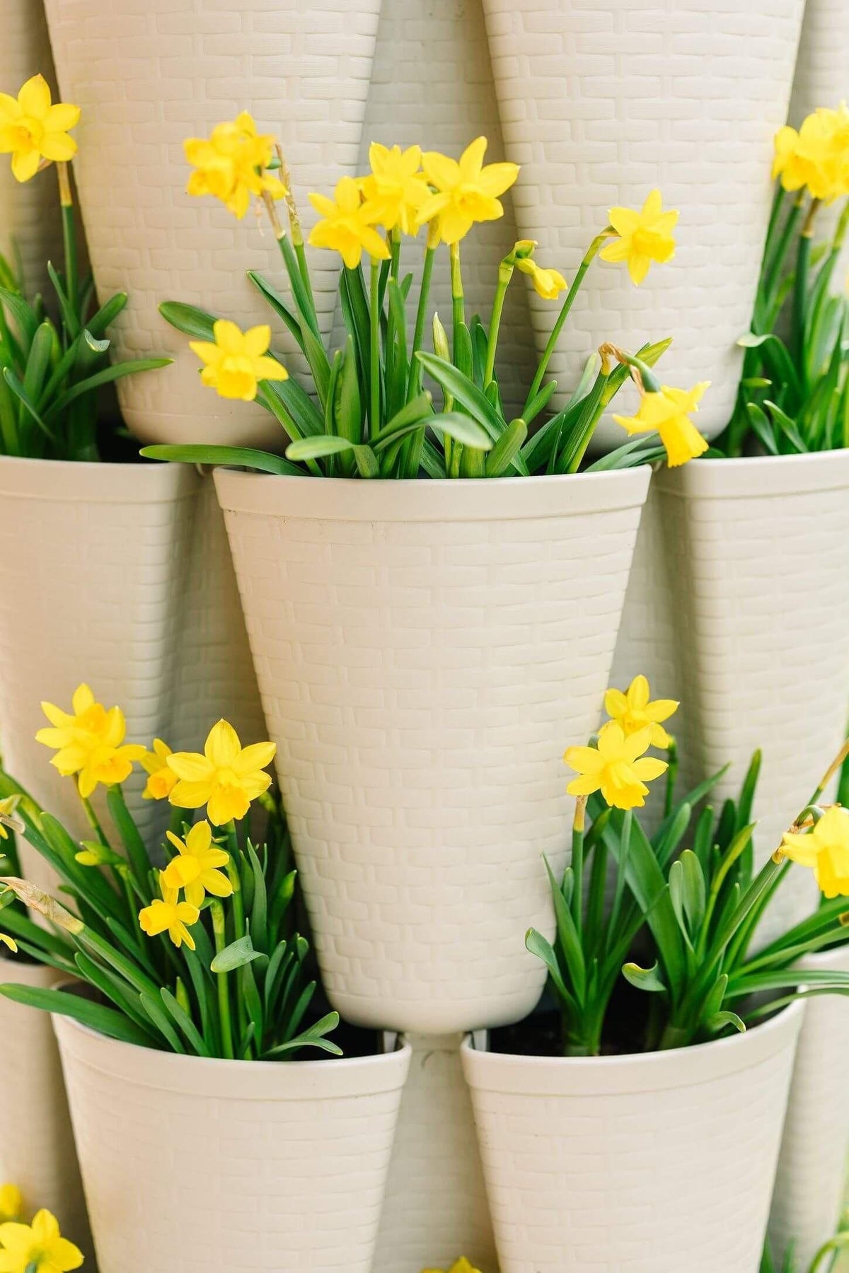 5 plant pot 5 Tier GreenStalk Original Vertical Planter | Stunning Stone (Basket W