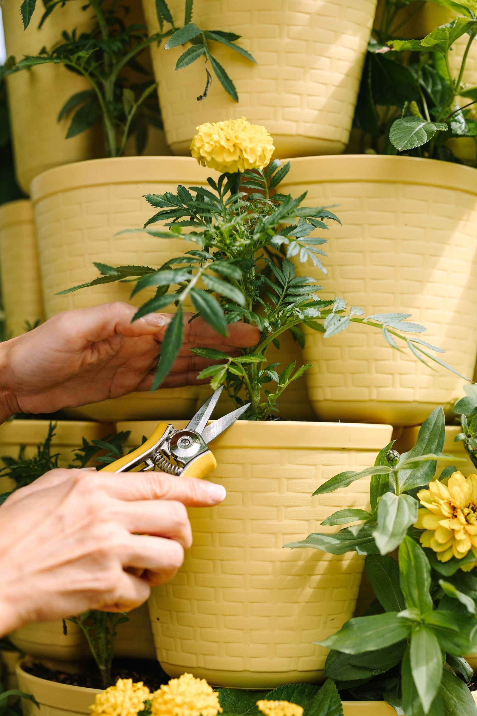 7 Tier GreenStalk Leaf Vertical Planter | Lemon (Basket Weave Texture) 