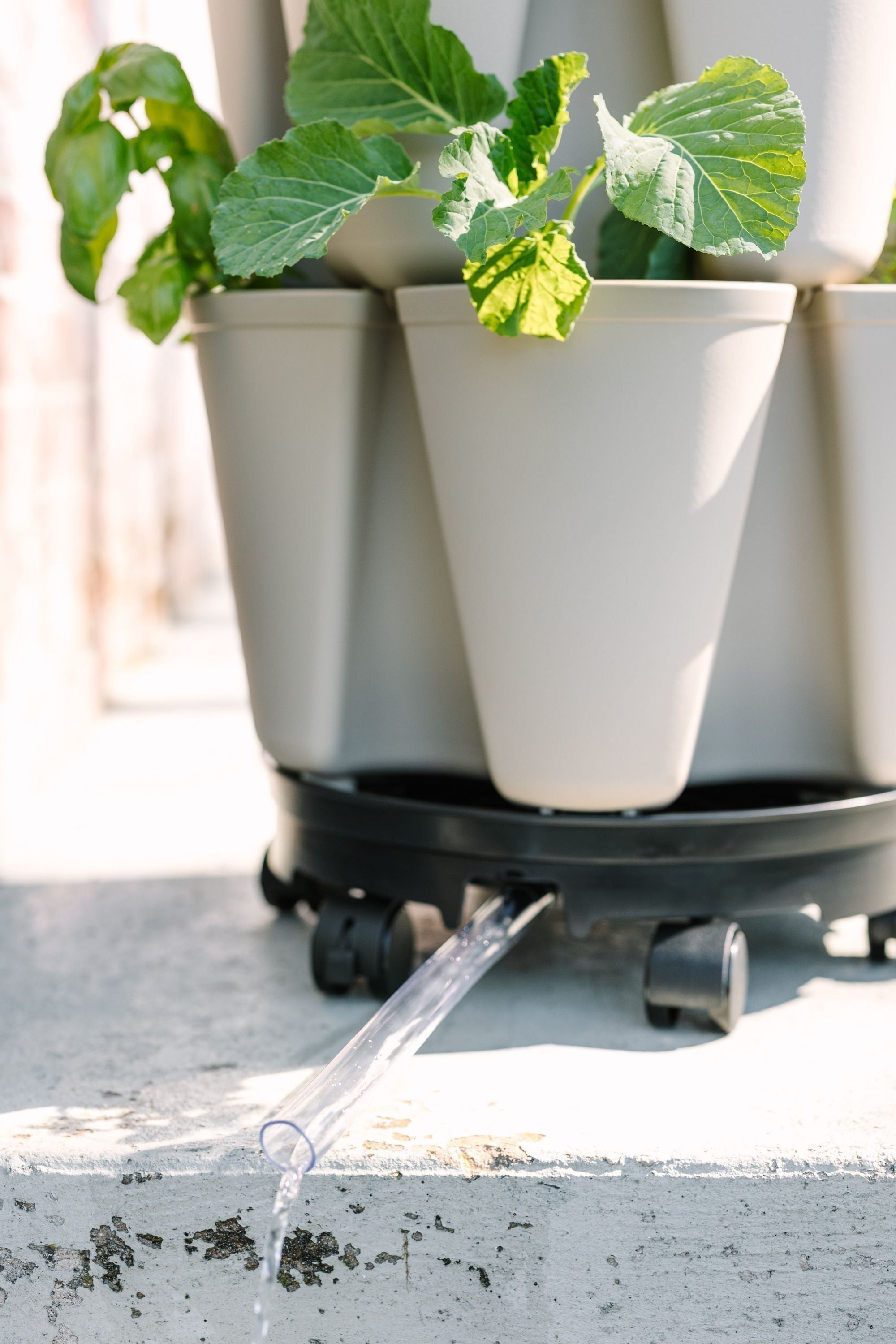 indoor planter with wheels GreenStalk Ultimate Spinner With Wheel Kit