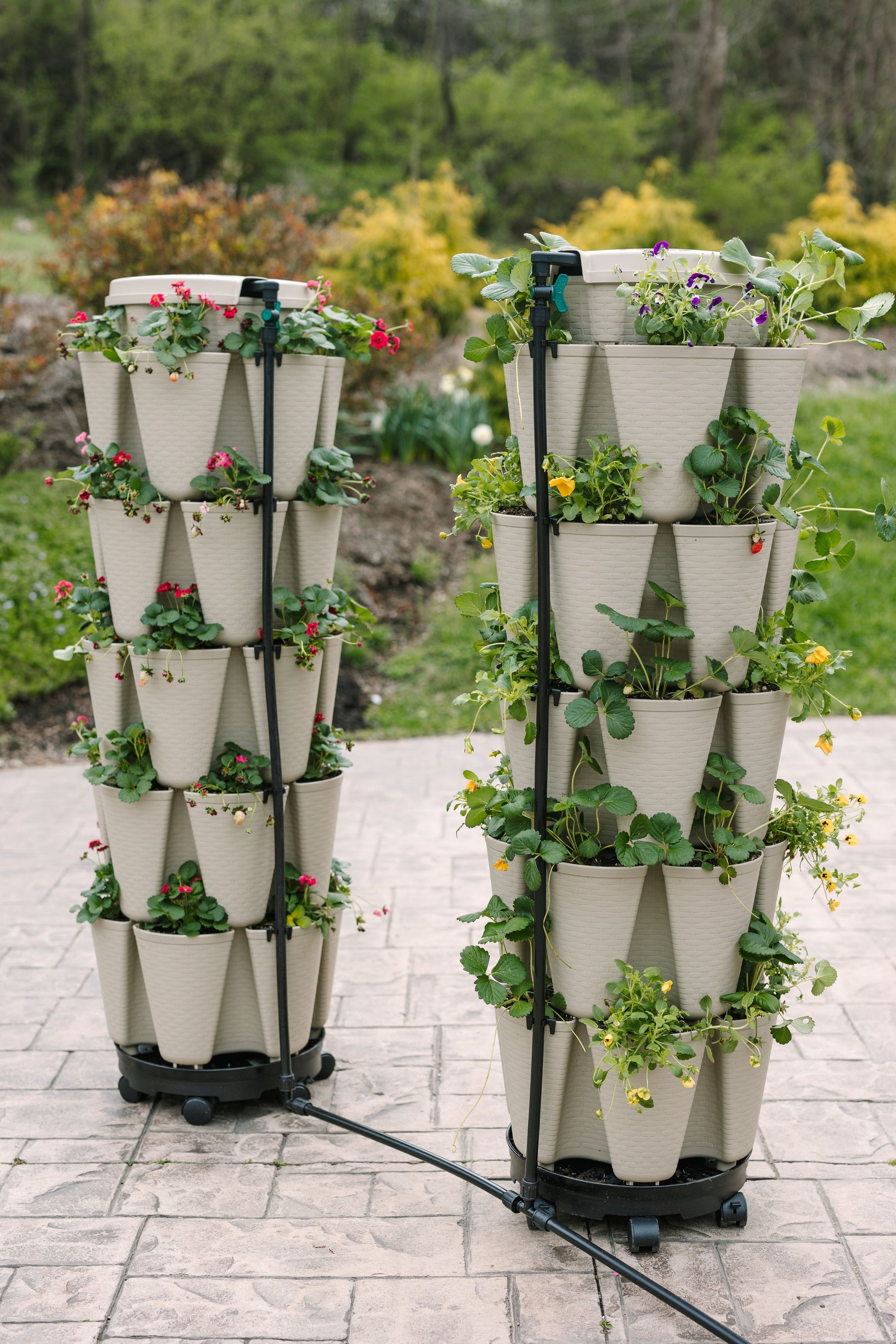 watering system for hanging plants GreenStalk Spring - Watering System | Stunning Stone