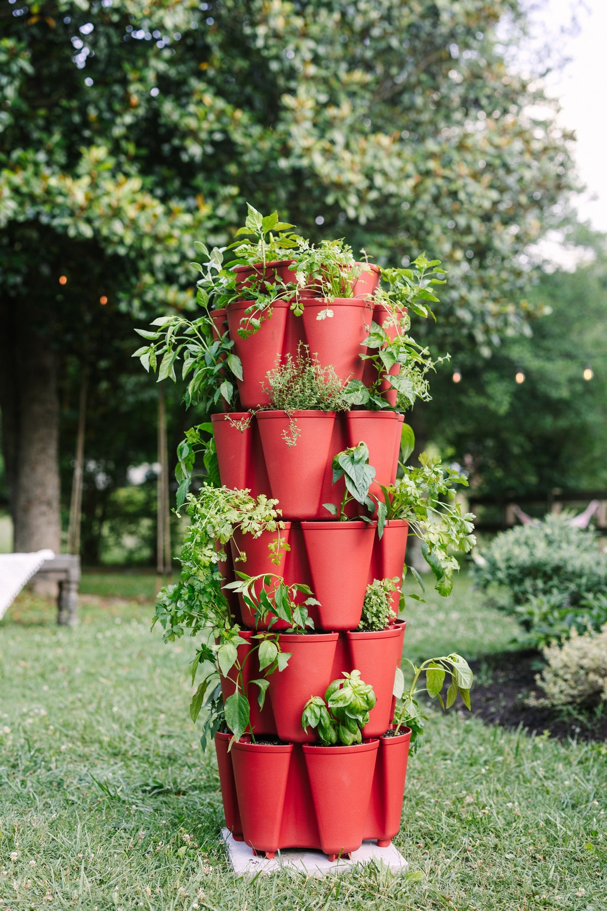 5 Tier GreenStalk Original Vertical Planter | Tomato (Basic Texture) 