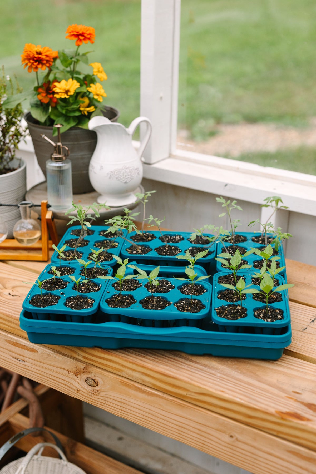 GreenStalk Seed Starter Kit with Domes | Dragonfly 