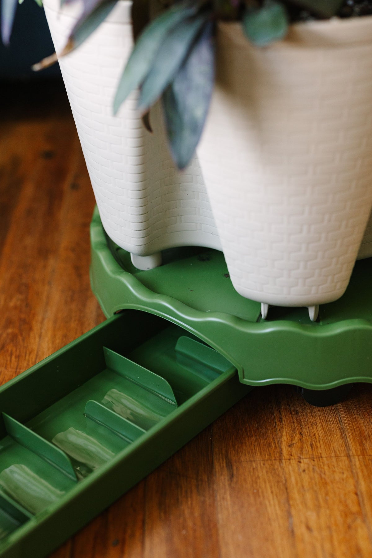 GreenStalk Ultimate Mover | Evergreen 