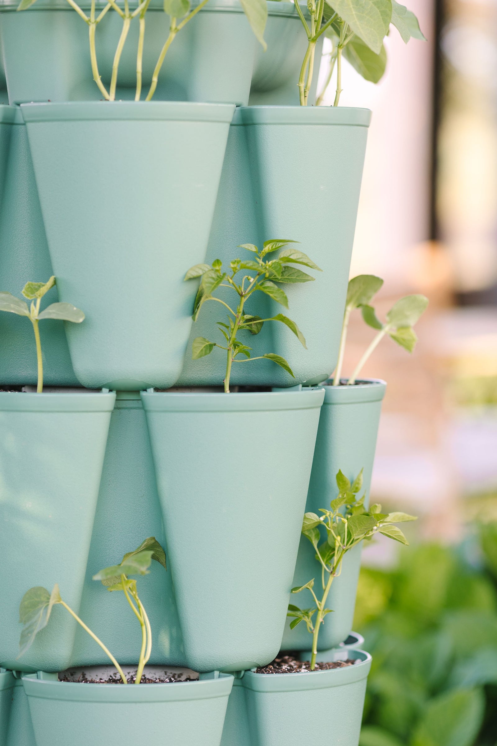 5 Tier GreenStalk Original Vertical Planter | Sage (Basic Texture) 