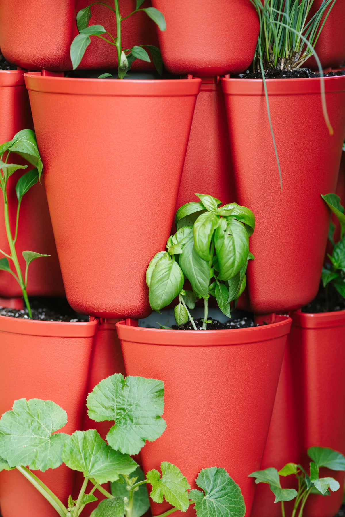 5 Tier GreenStalk Original Vertical Planter | Tomato (Basic Texture) 