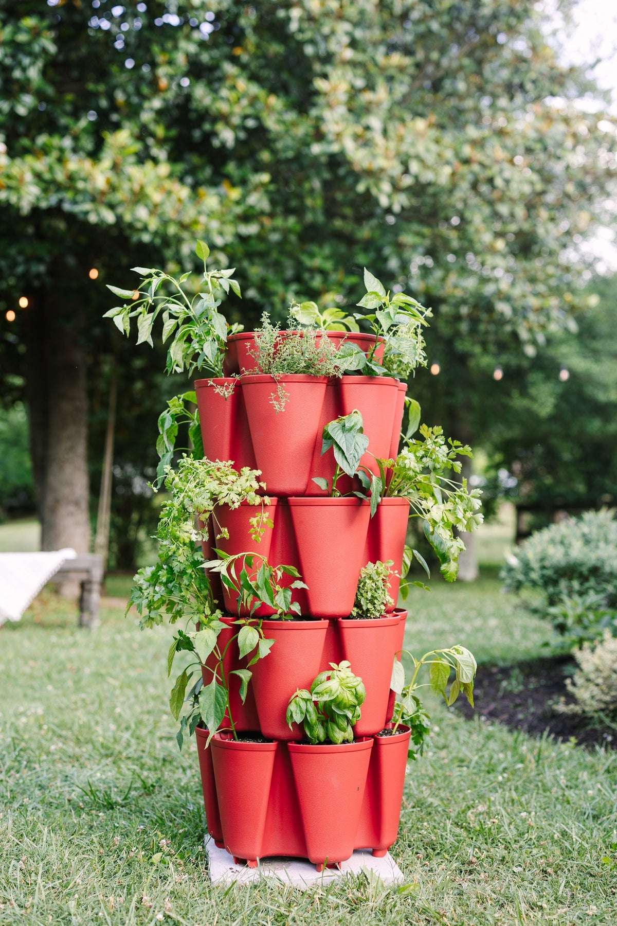 4 Tier GreenStalk Original Vertical Planter | Tomato (Basic Texture) 