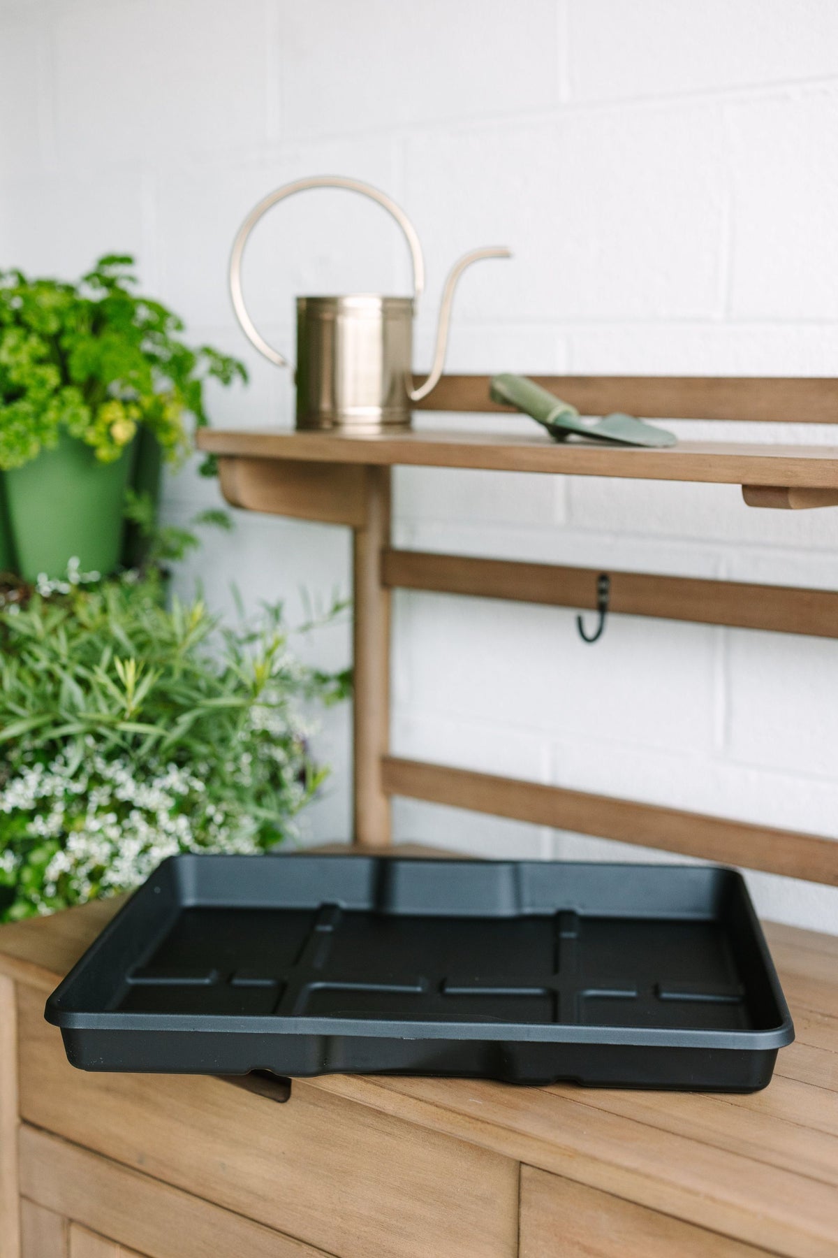 GreenStalk Seed Starter Kit | Beautiful Black | PREORDER 