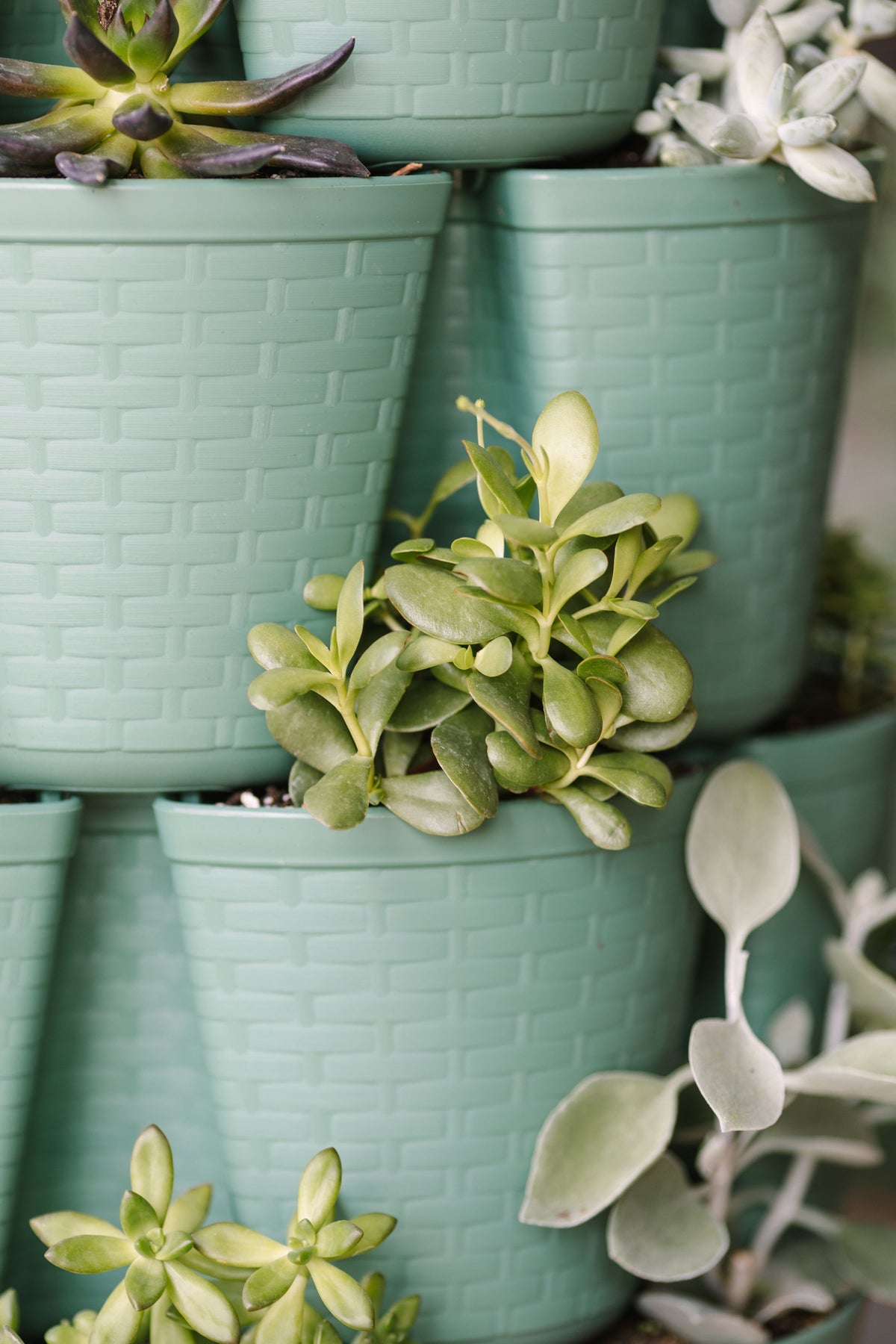 5 Tier GreenStalk Leaf Vertical Planter | Sage (Basket Weave Texture) 