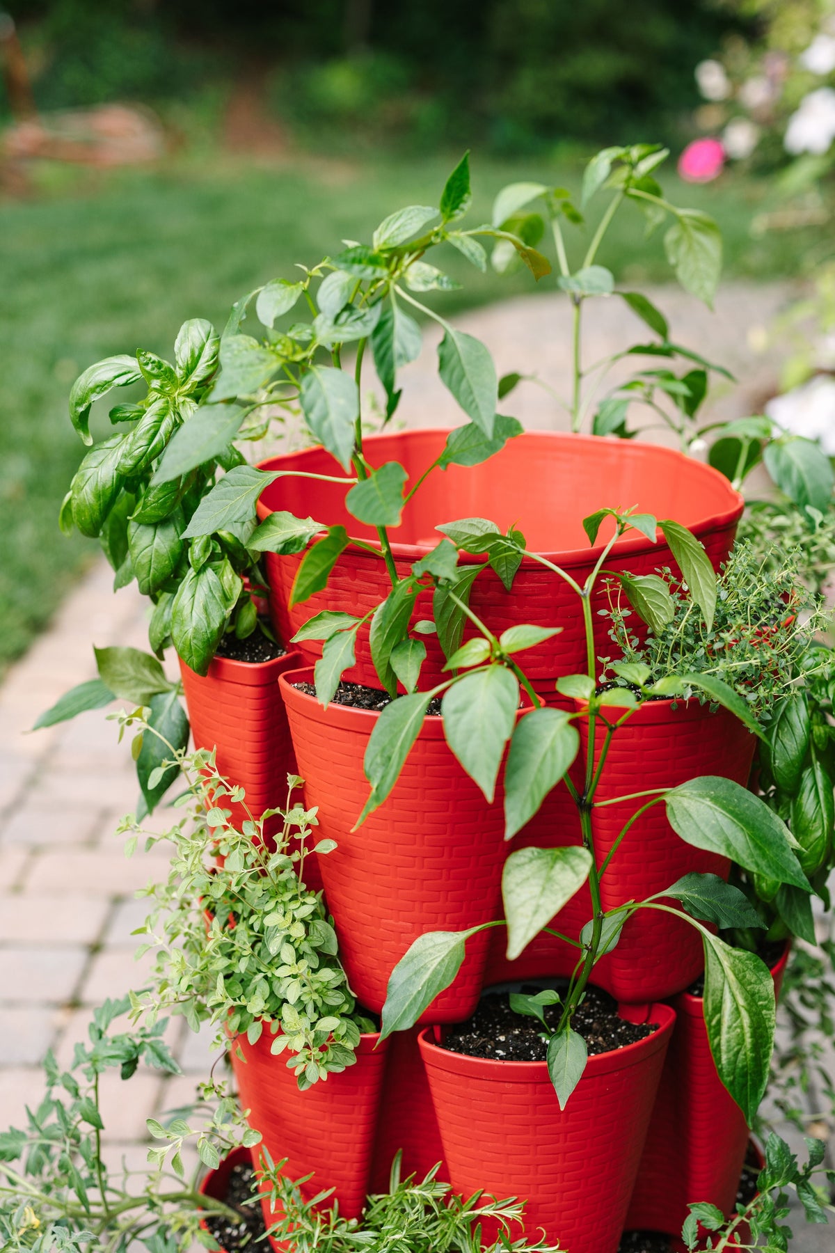 3 Tier GreenStalk Original Vertical Planter | Tomato (Basket Weave Texture) 