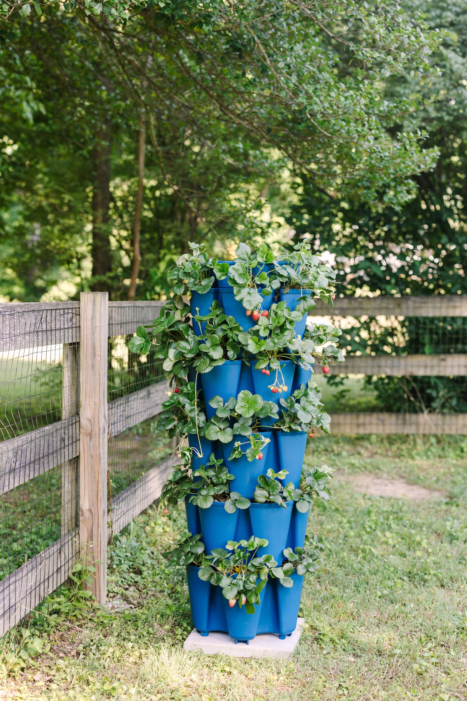 5 Tier GreenStalk Original Vertical Planter | Blueberry (Basic Texture) 