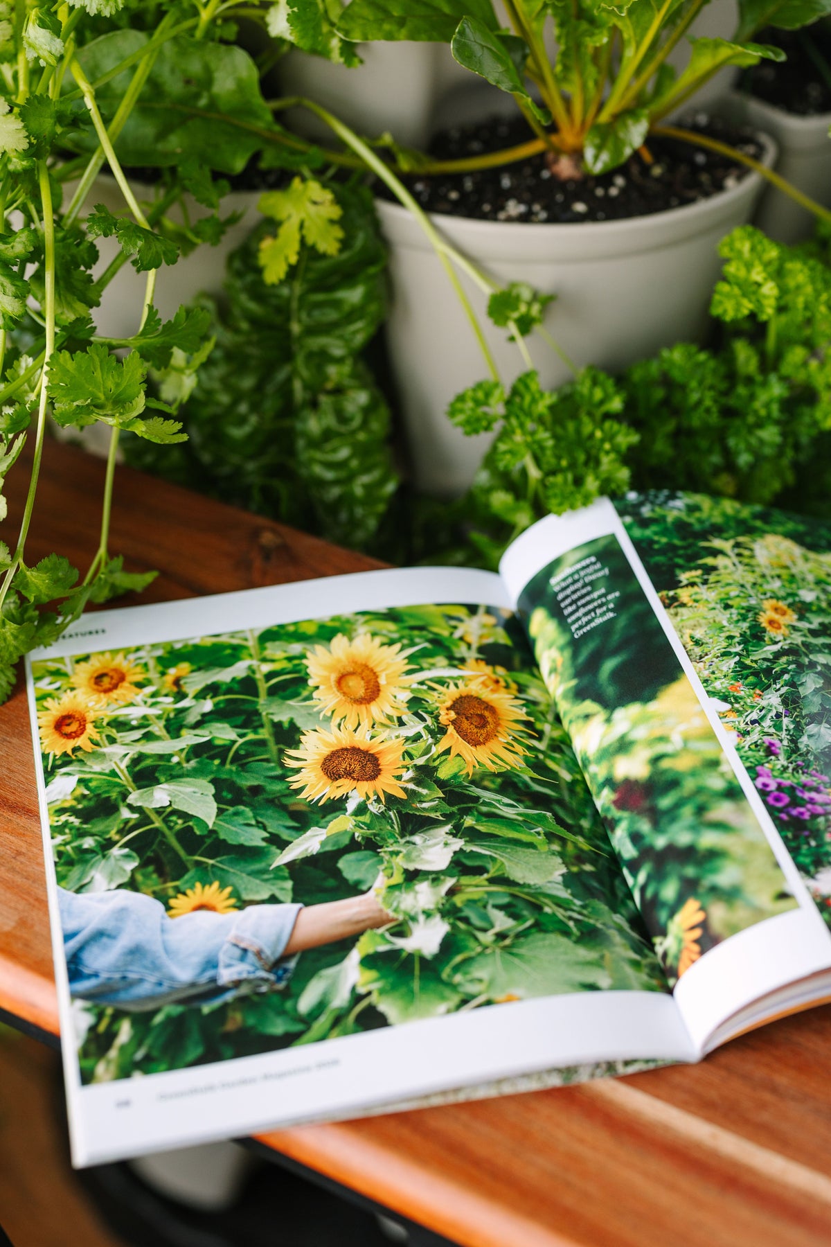 GreenStalk Magazine | 2026 (Print Magazine)