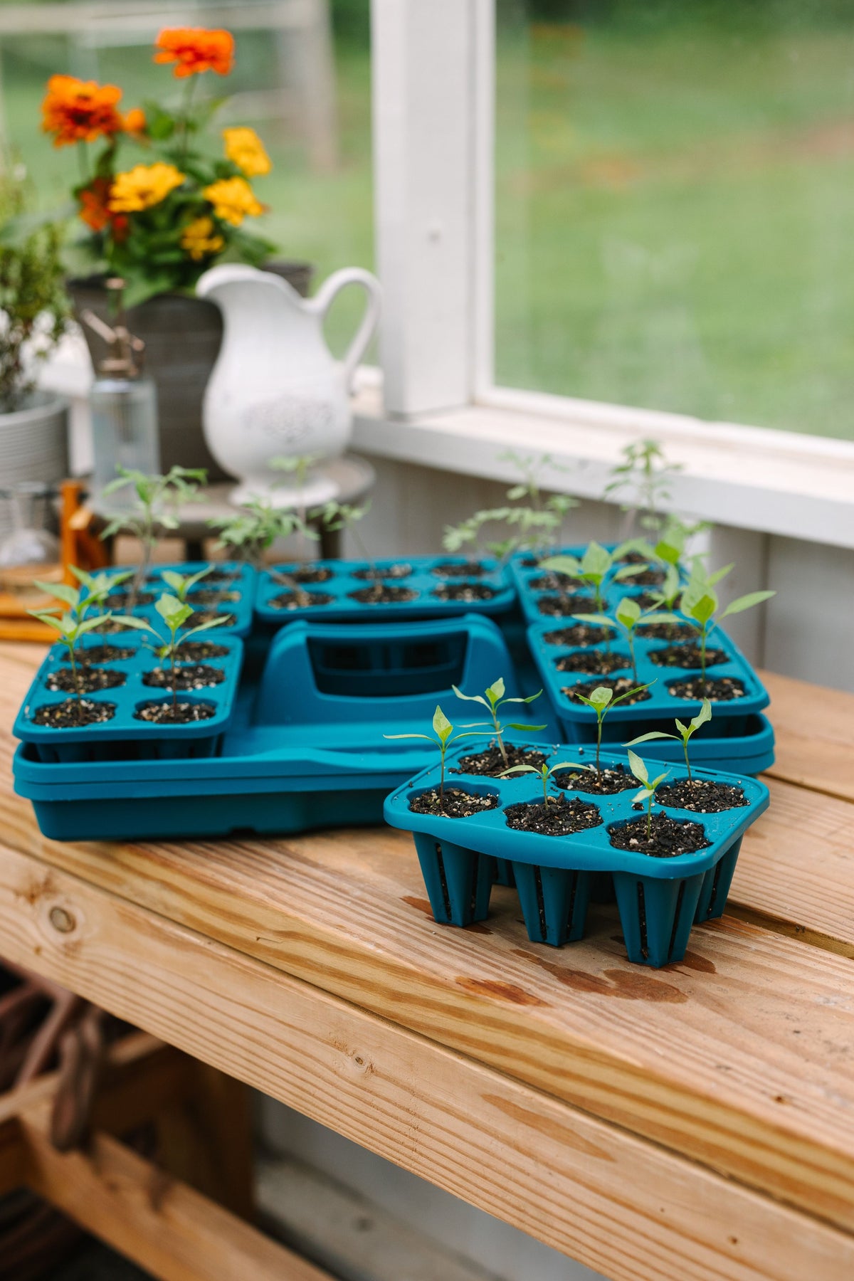 GreenStalk Seed Starter Kit with Domes | Dragonfly 