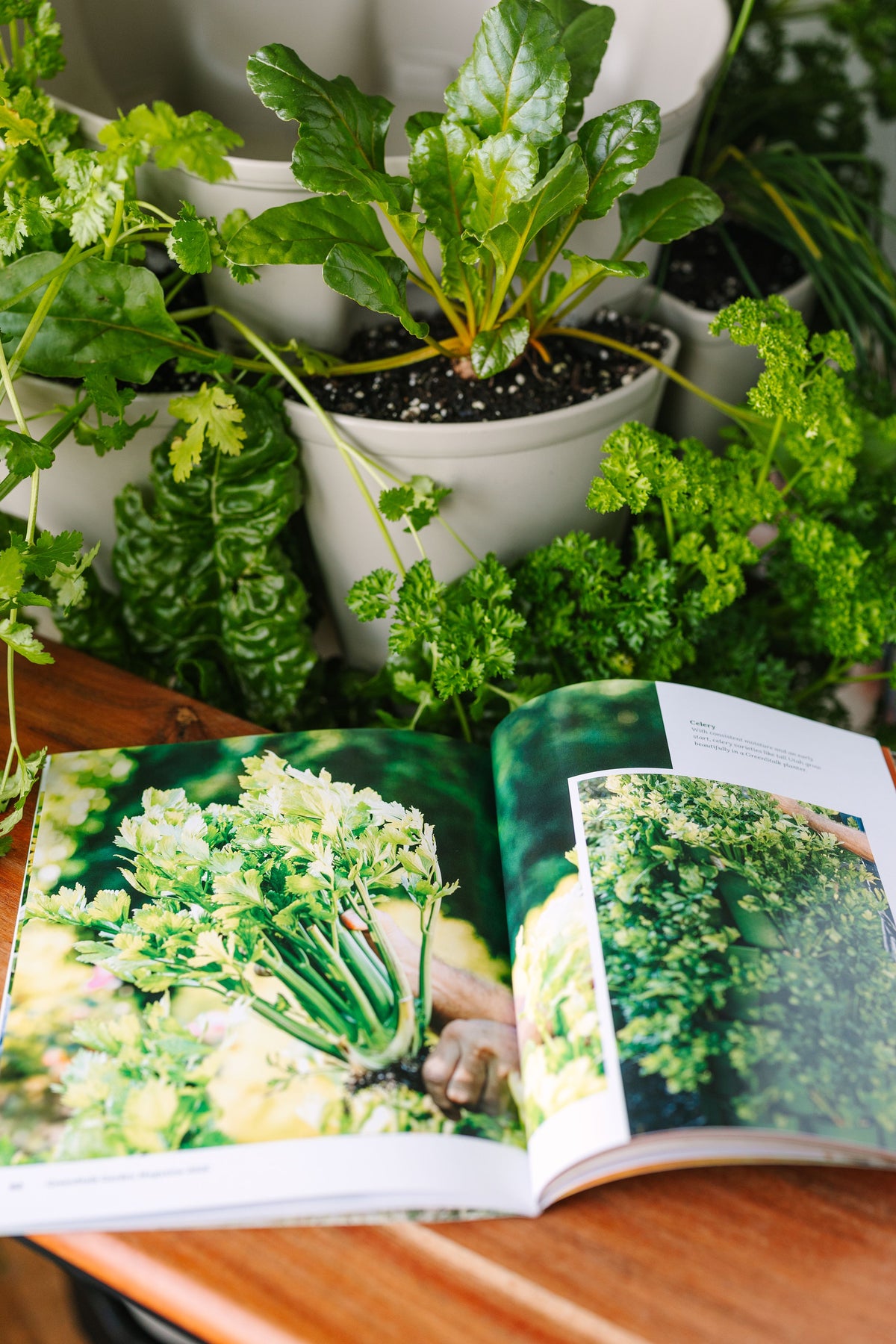 GreenStalk Magazine | 2026 (Print Magazine)