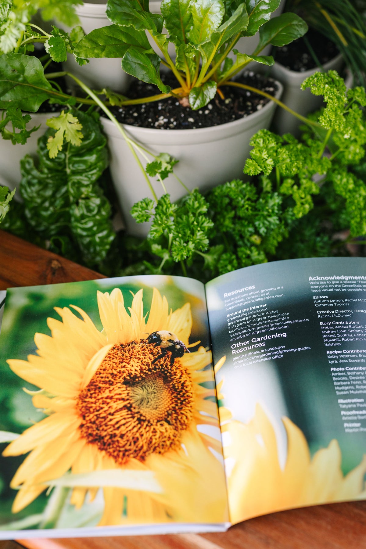 GreenStalk Magazine | 2026 (Print Magazine)