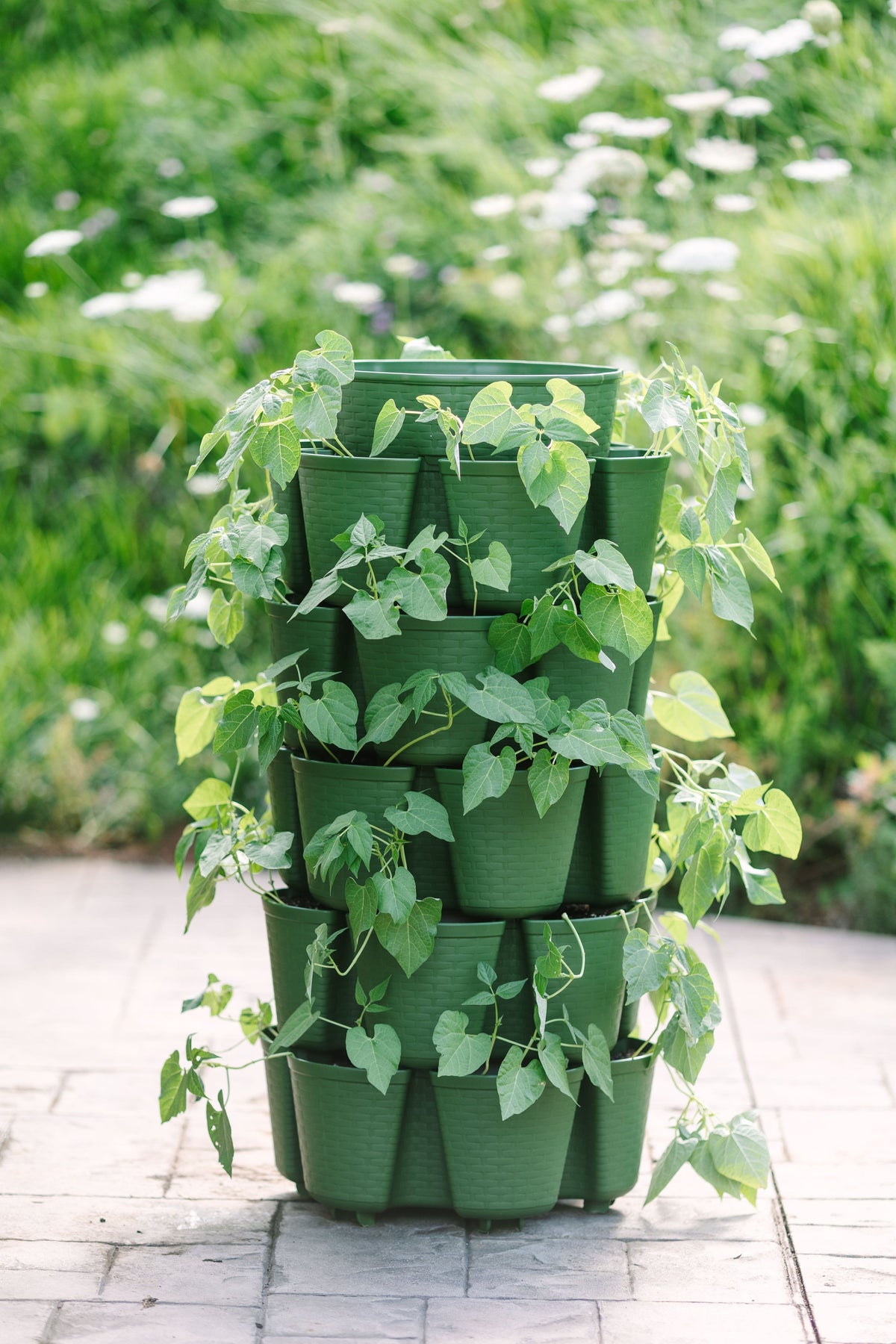 5 Tier GreenStalk Leaf Vertical Planter | Evergreen (Basket Weave Texture) 
